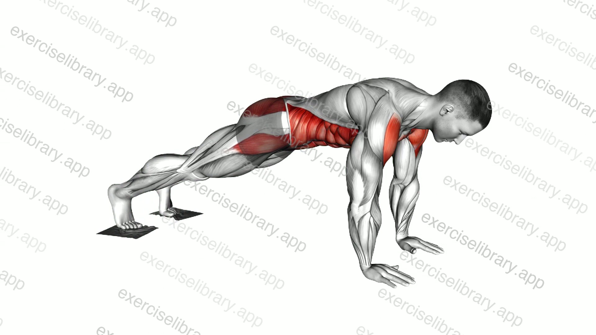 Plank Jack Slide with Towel demonstration