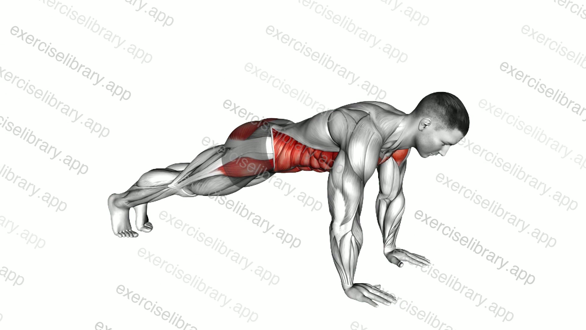Plank on Hands demonstration
