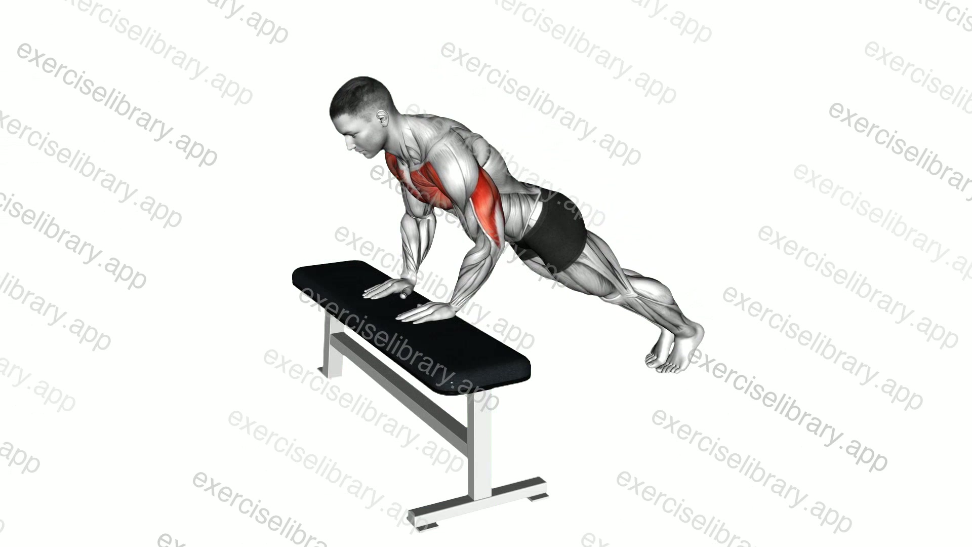 Incline Close Grip Push-up demonstration