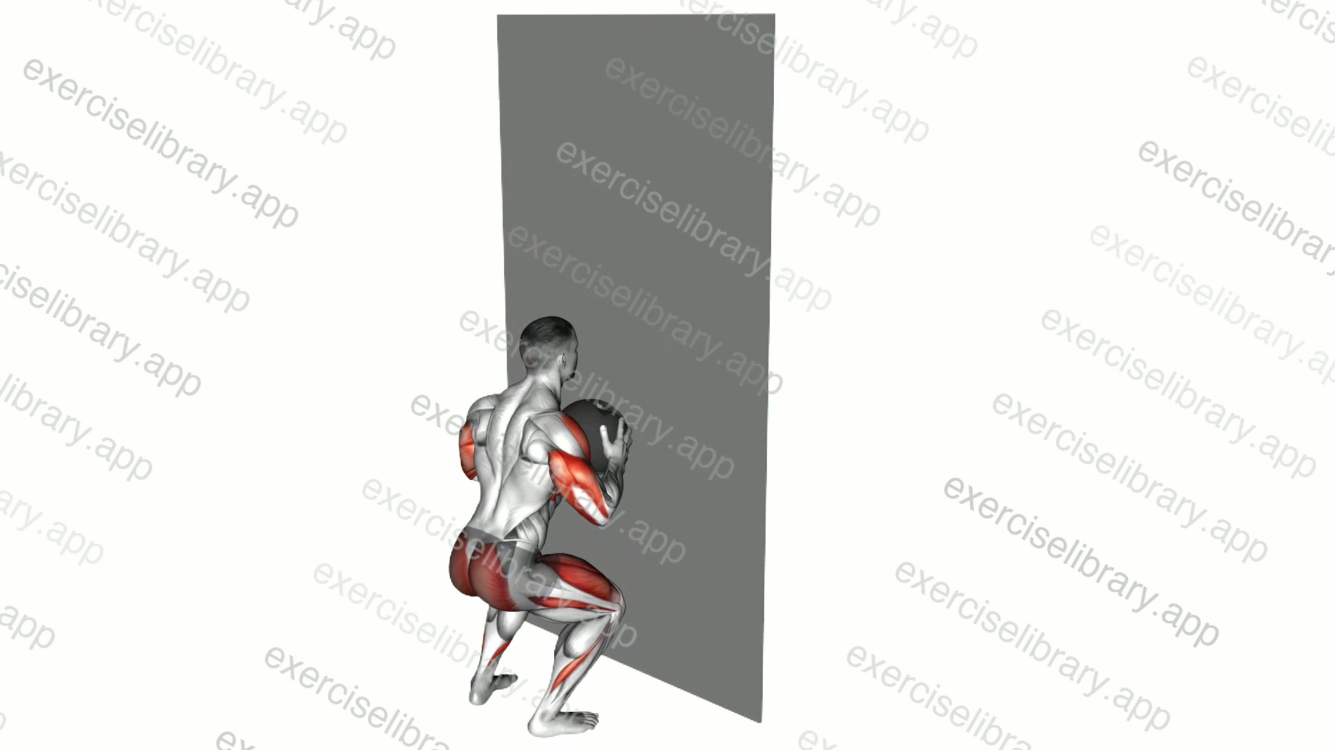 Medicine Ball Throw Squat with Wall demonstration