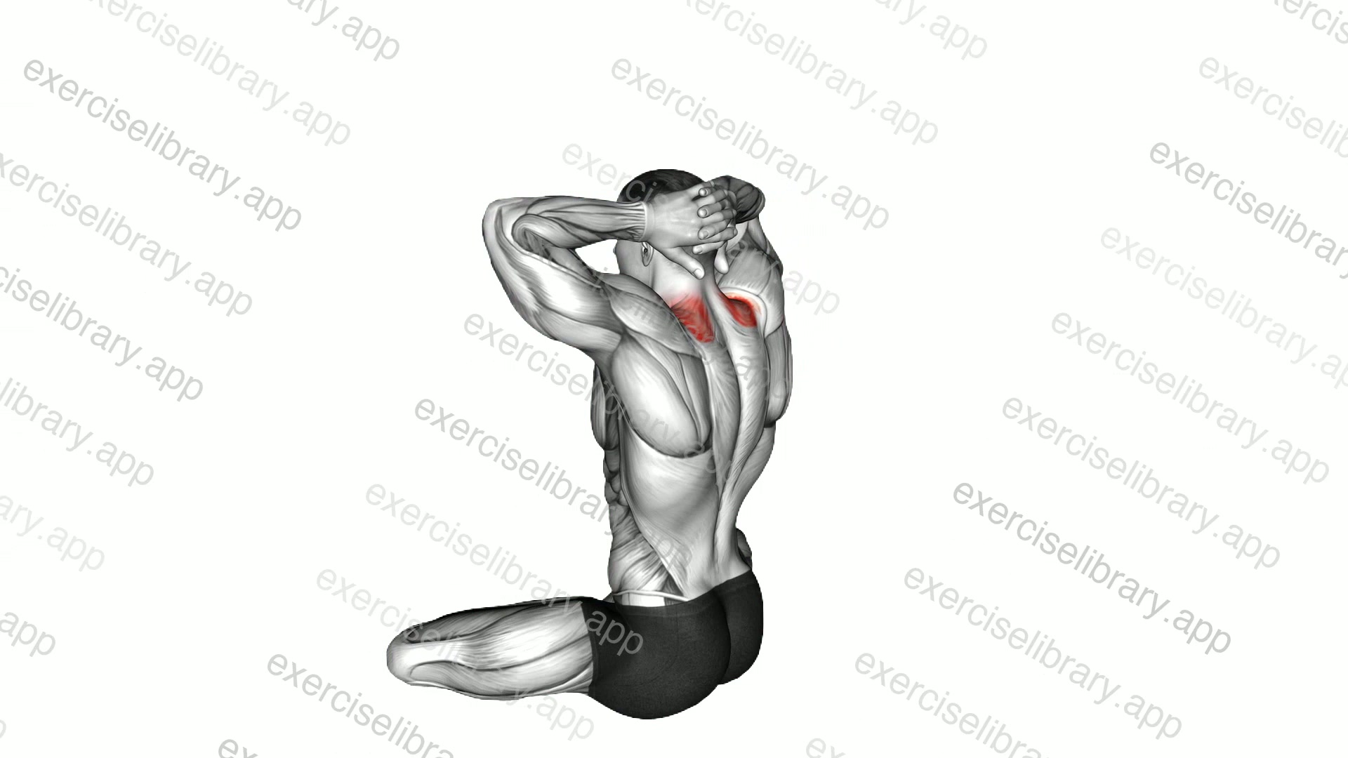 Seated Neck Stretch demonstration