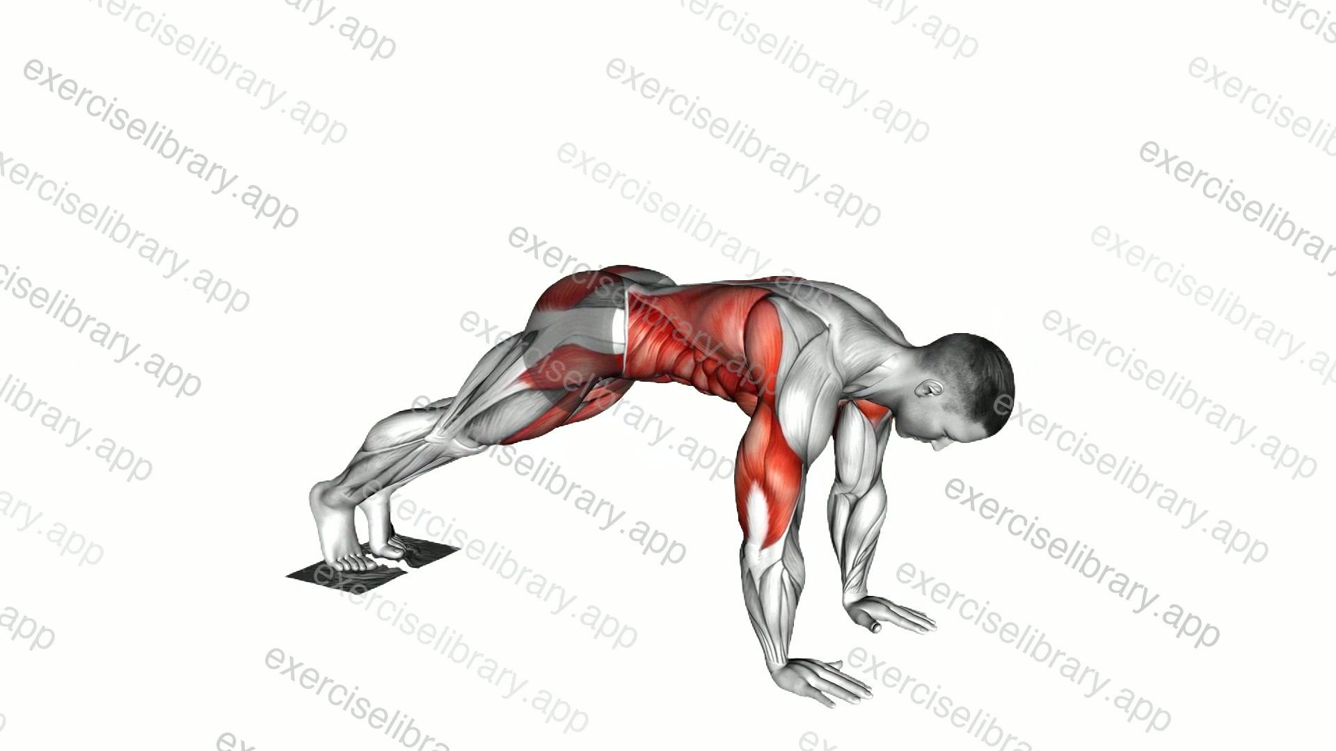 Plank Pike Slide with Towel demonstration