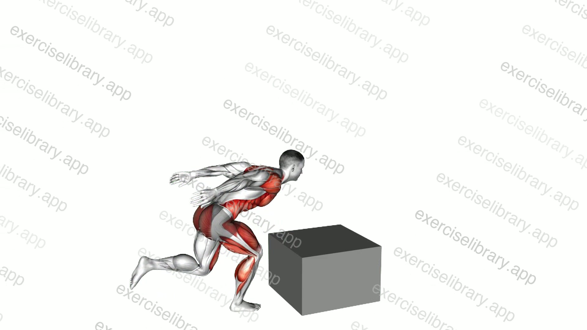 Single Leg Box Jump demonstration