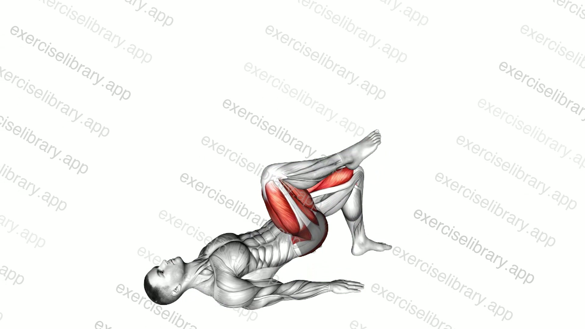 Single Leg Glute Bridge with External Rotation demonstration
