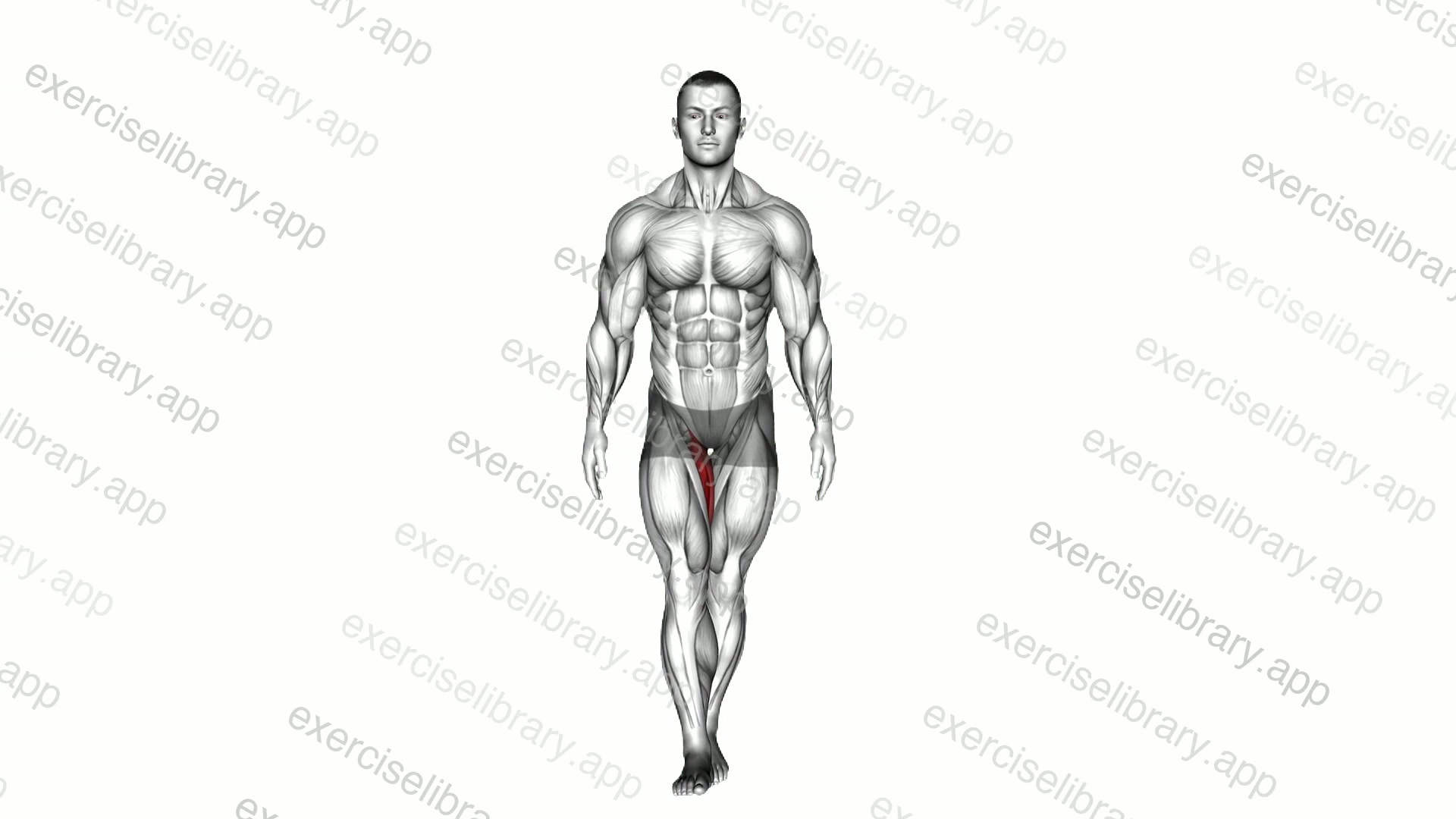 Standing Hip Adduction demonstration