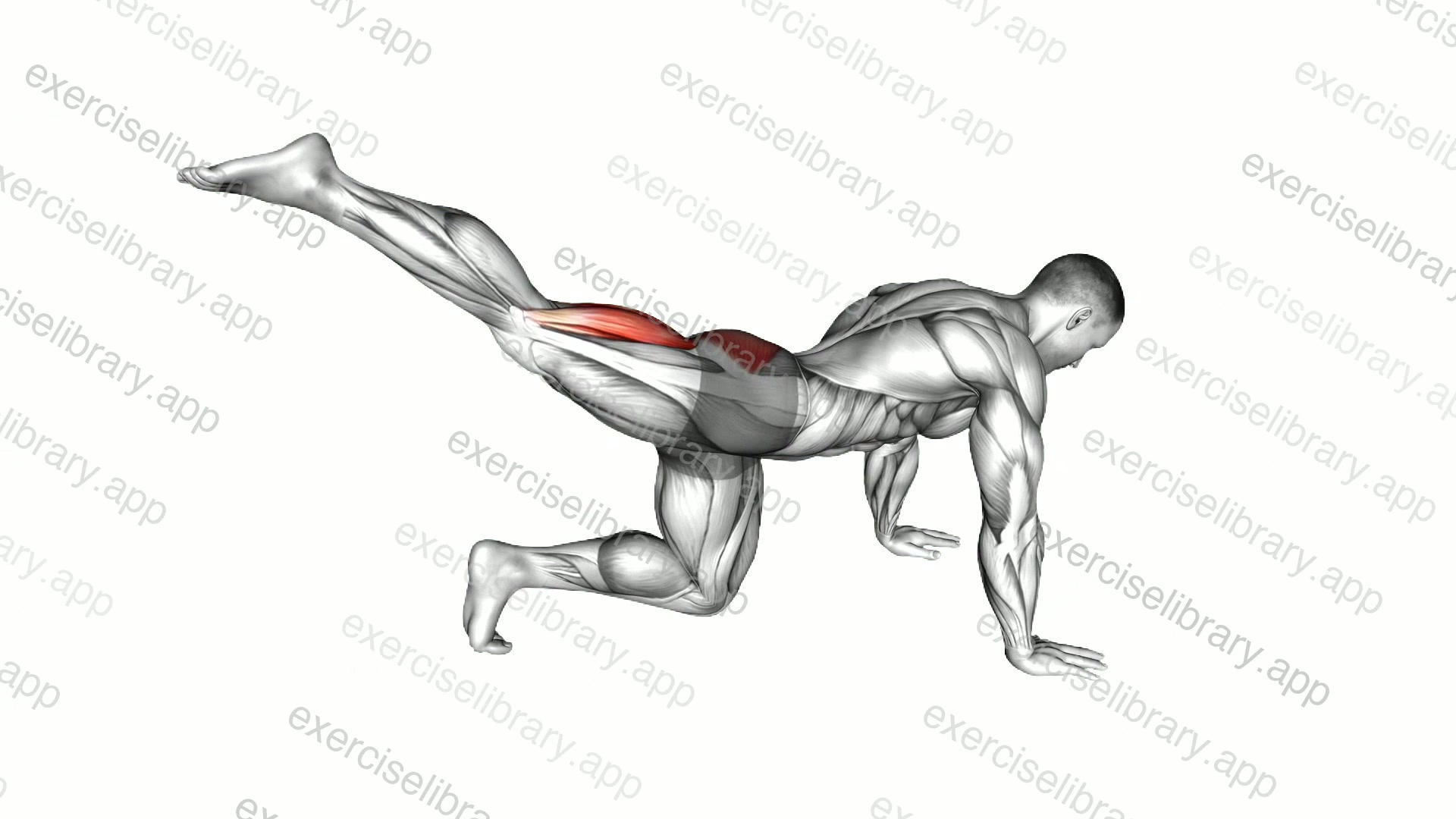 Kneeling Pulse demonstration