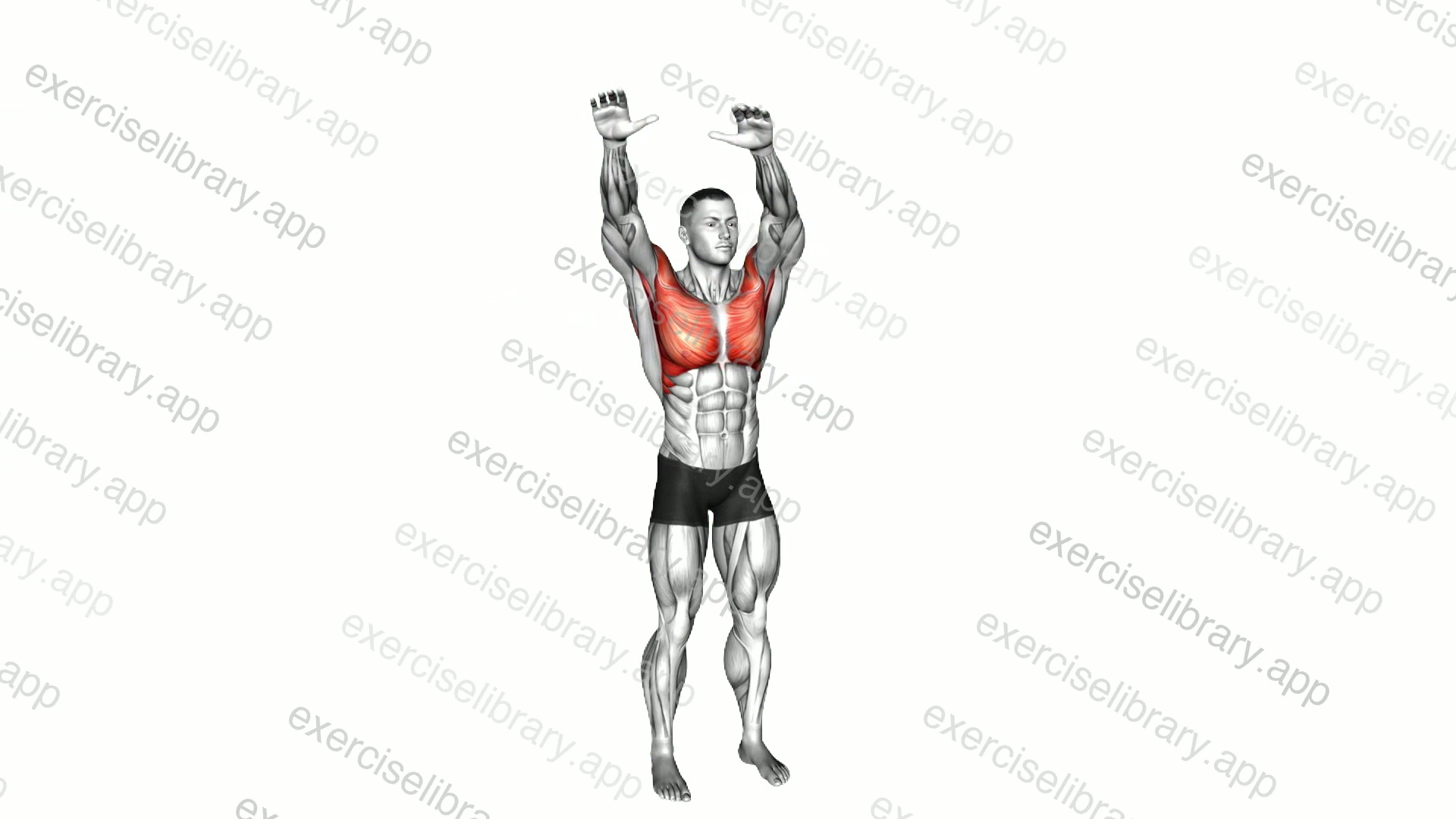 Full Arm Rotation demonstration