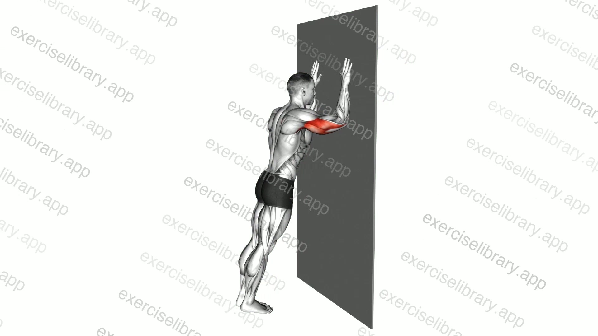 Wall Pulse demonstration
