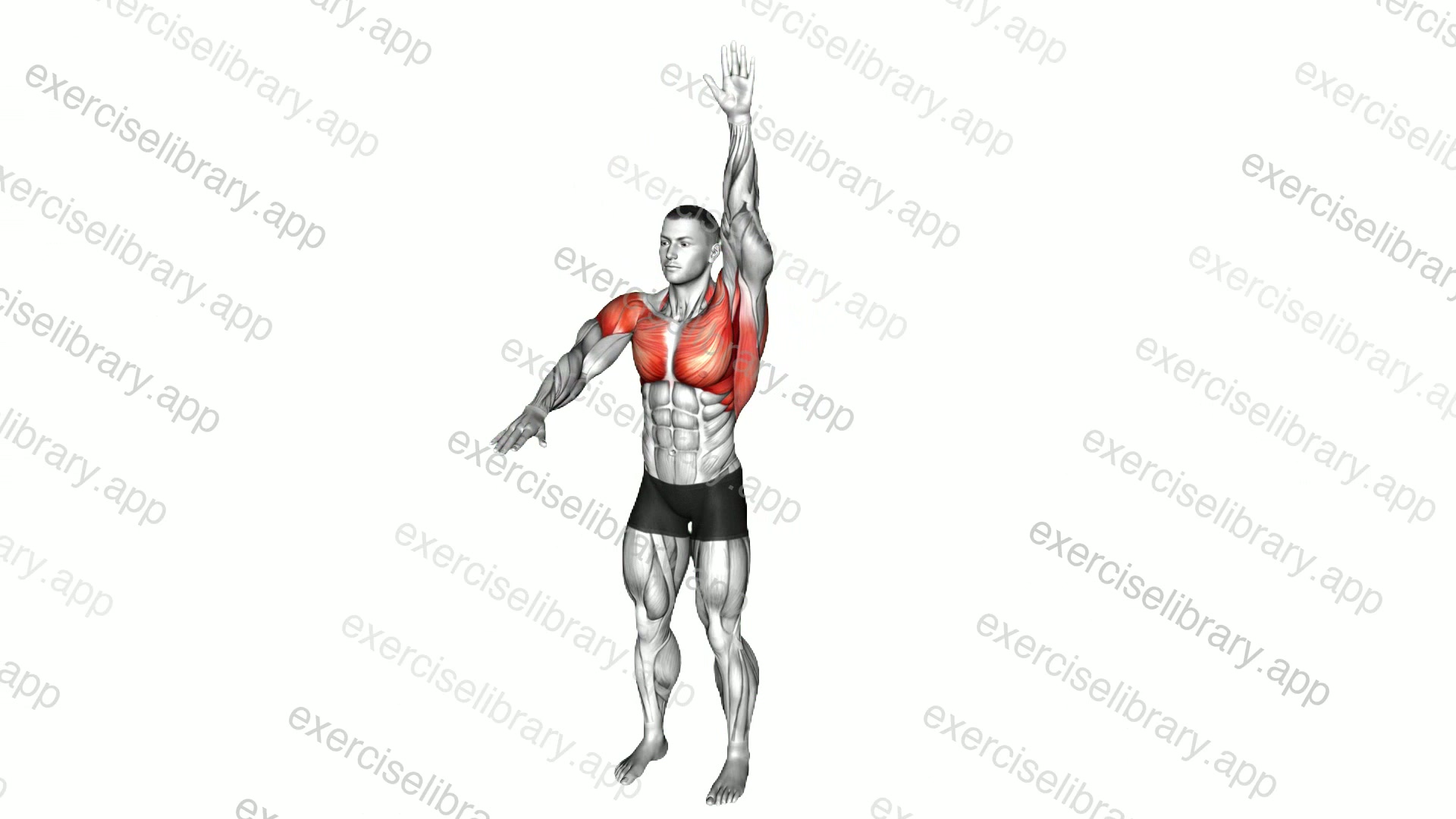 Arms-up and Down demonstration