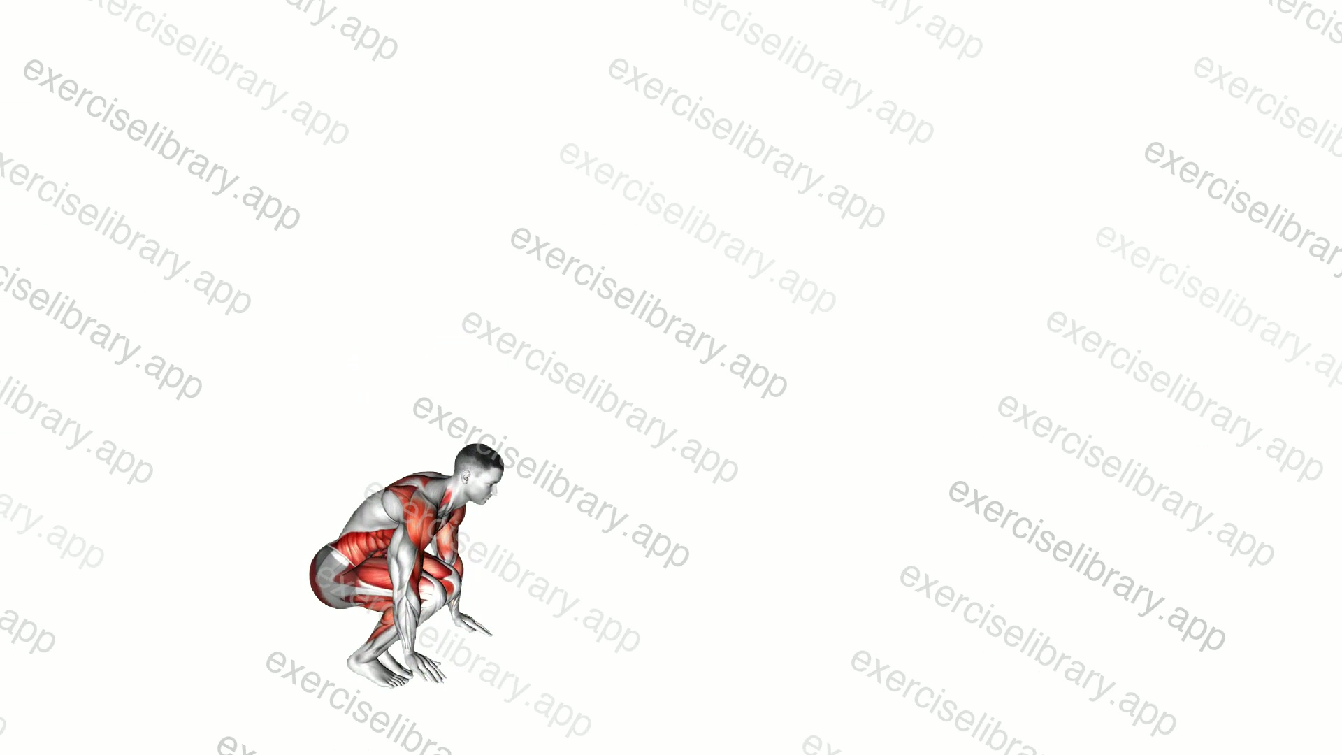 Burpee Long Jump with Push-up demonstration