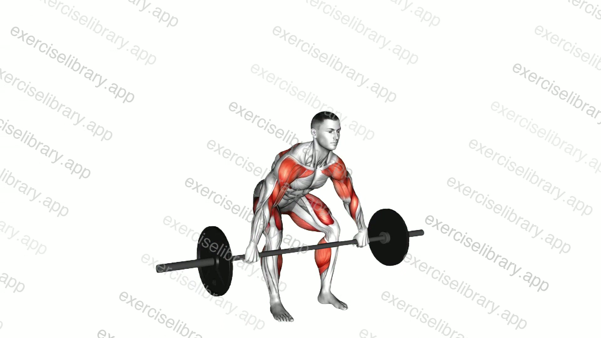 Snatch High Pull demonstration