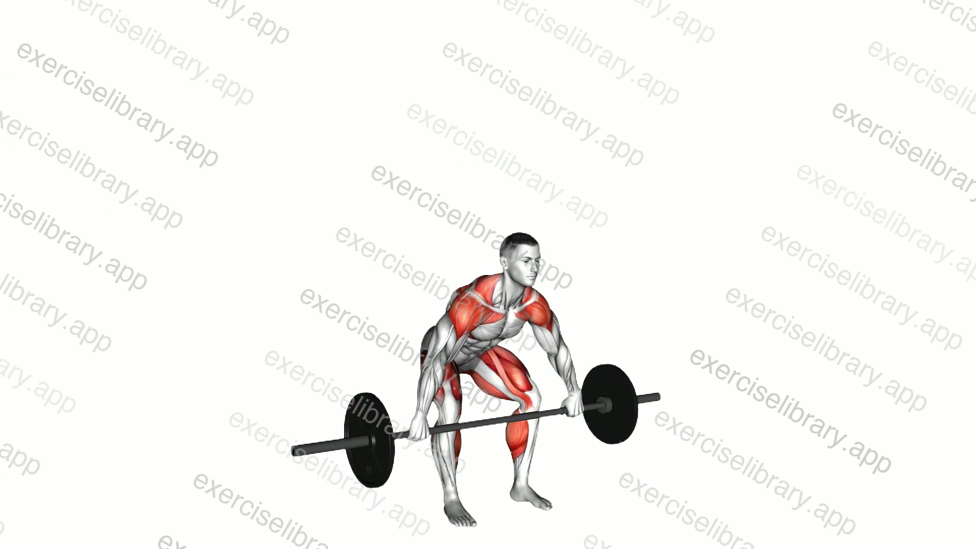 Barbell Split Snatch demonstration