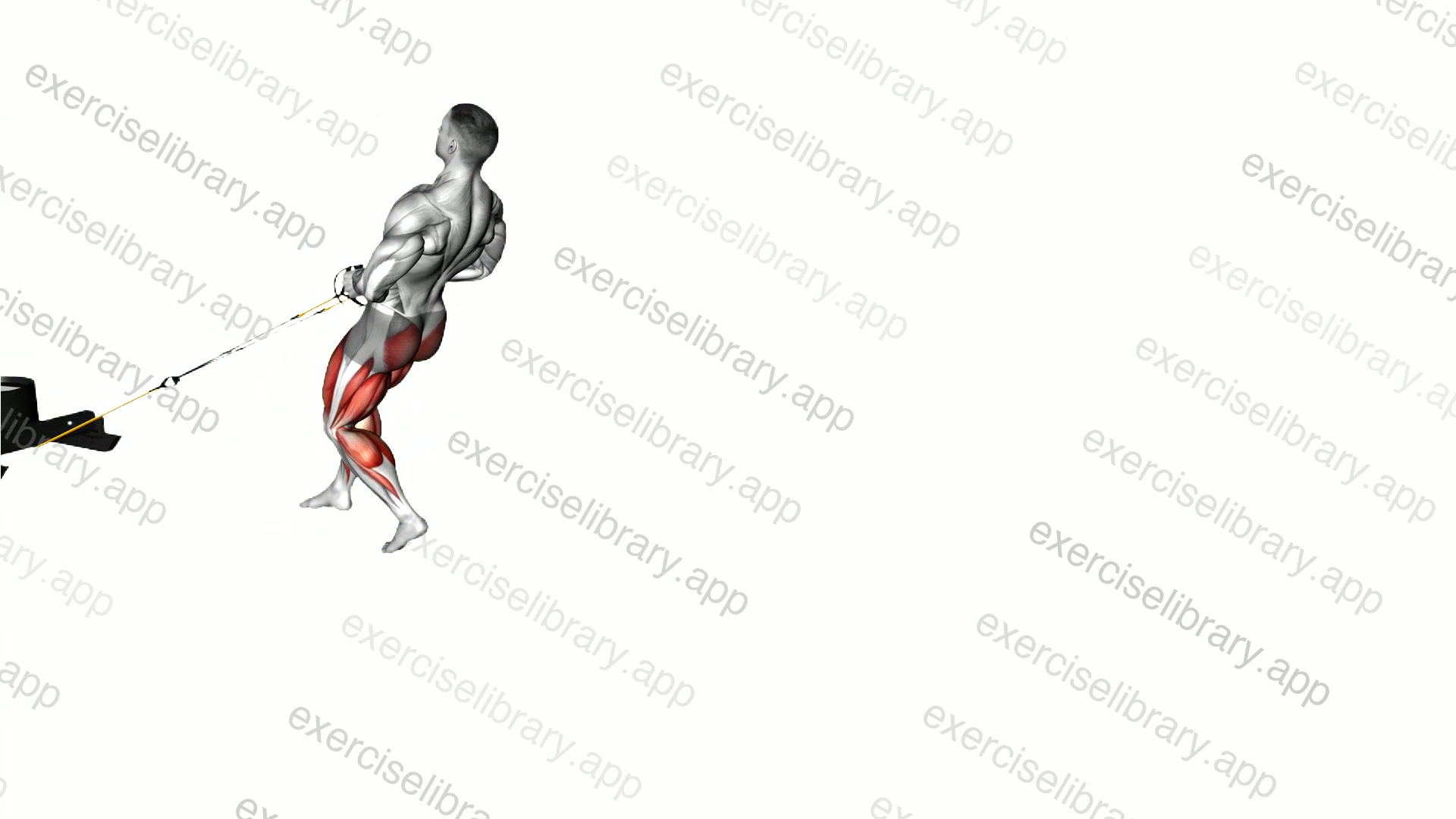 Power Sled Rear Drag demonstration