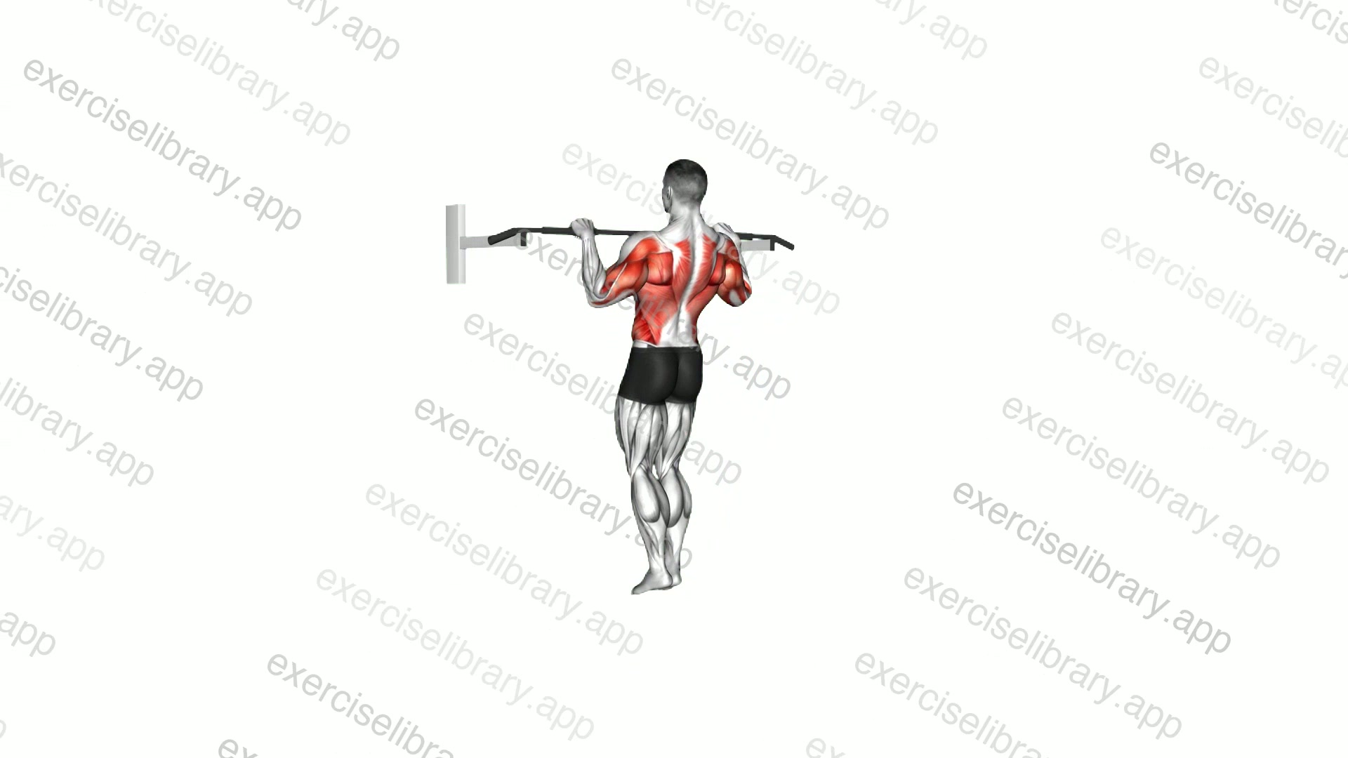 Bodyweight Muscle-up demonstration
