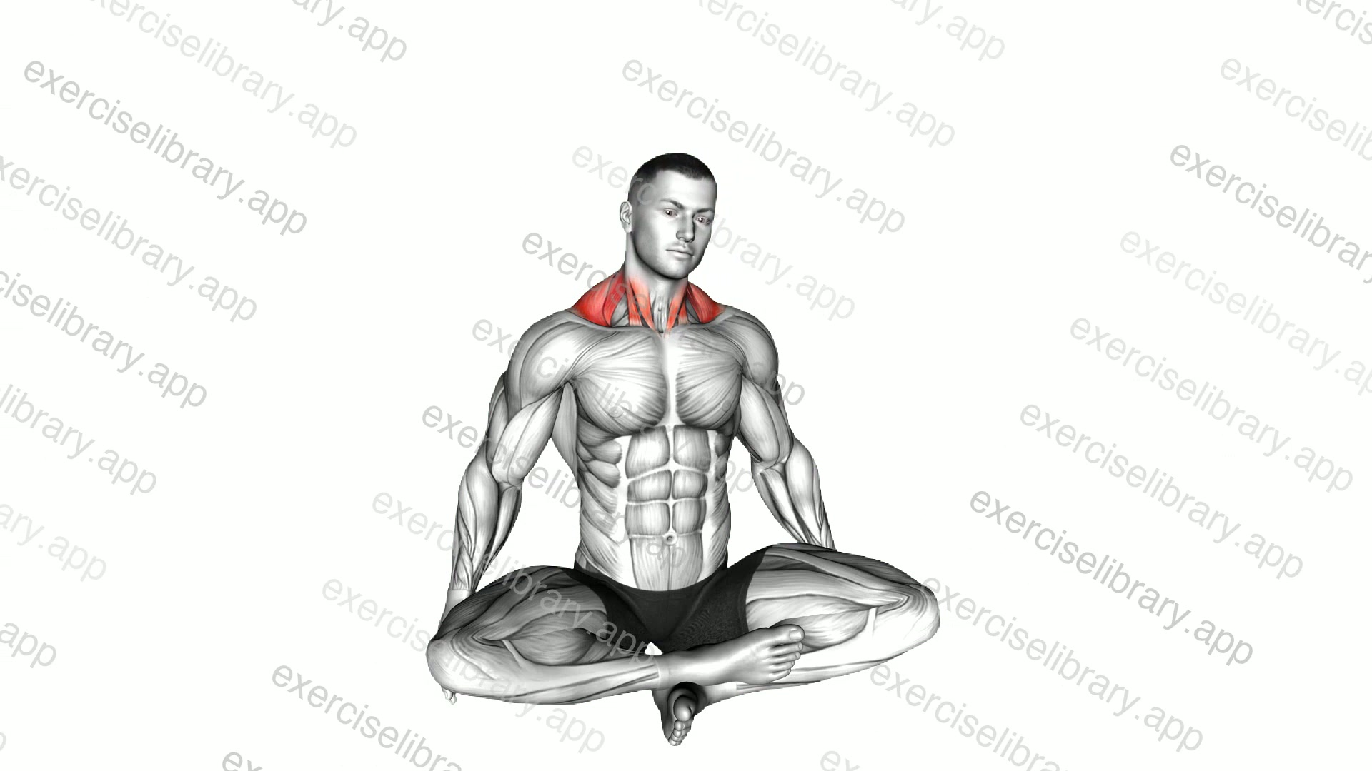 Seated Neck Side Stretch demonstration