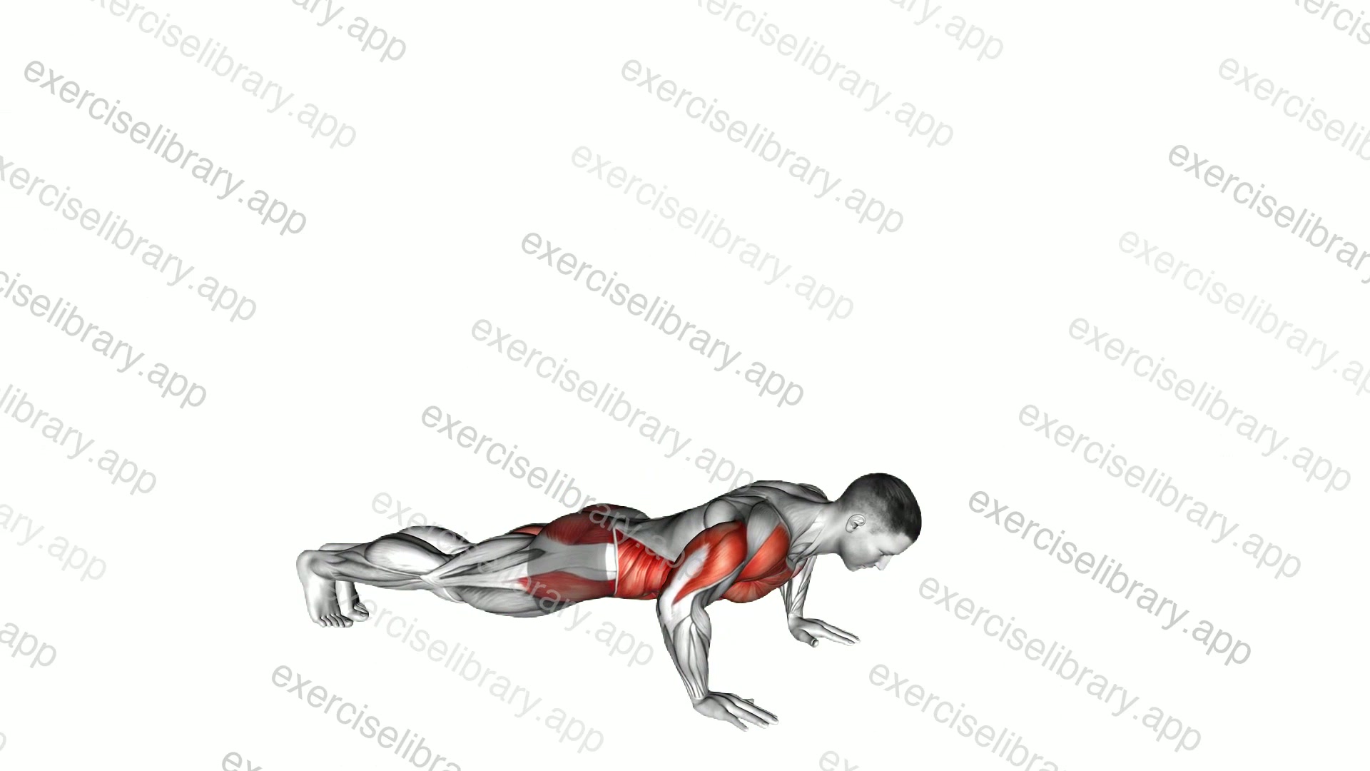 Push-up with Twist demonstration