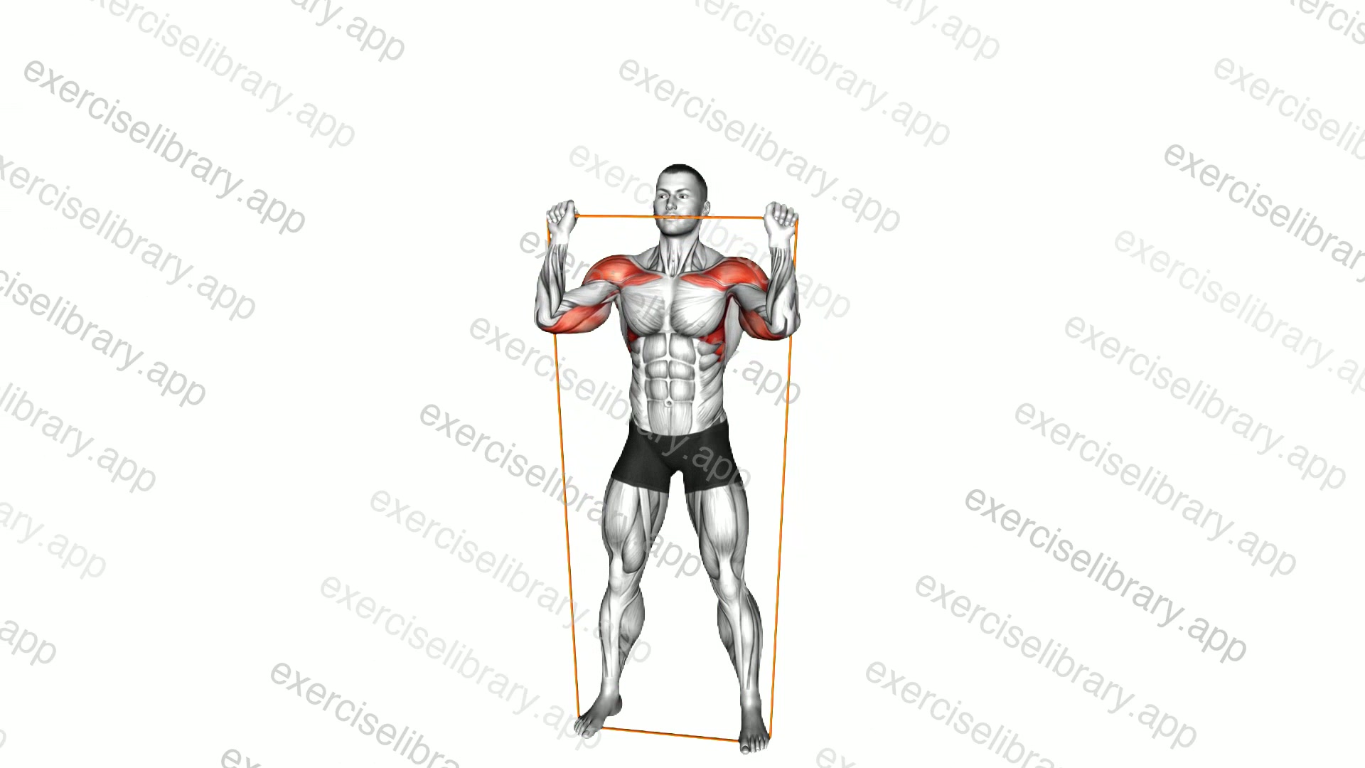 Resistance Band Overhead Shoulder Press demonstration