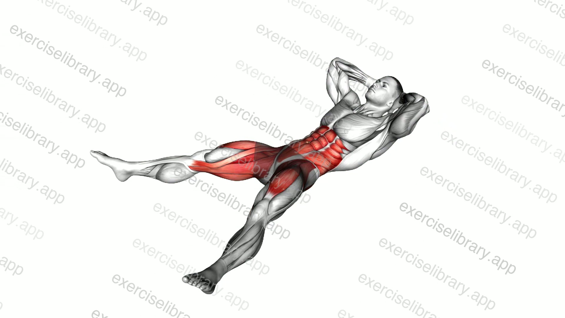 Wide Leg Sit-up demonstration