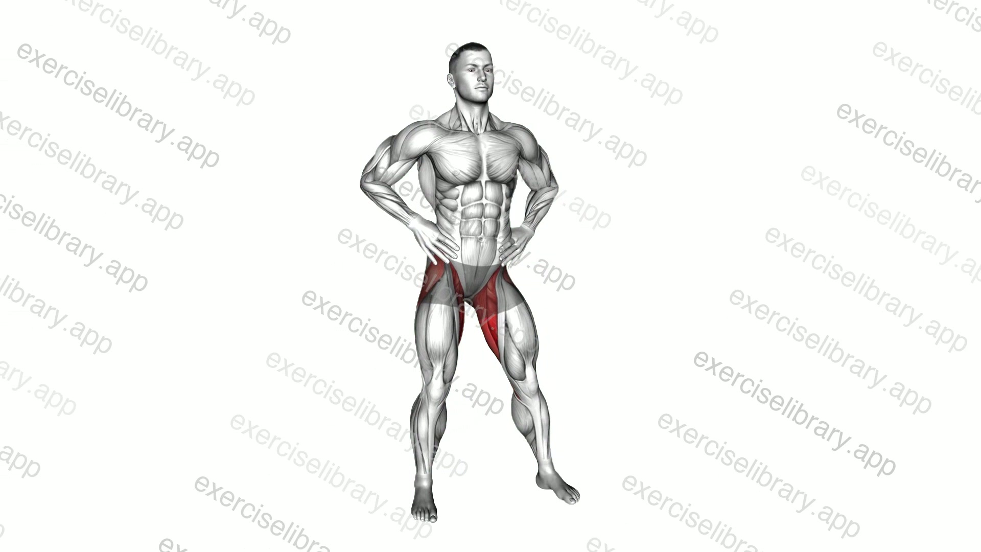 Hip Circles Stretch demonstration