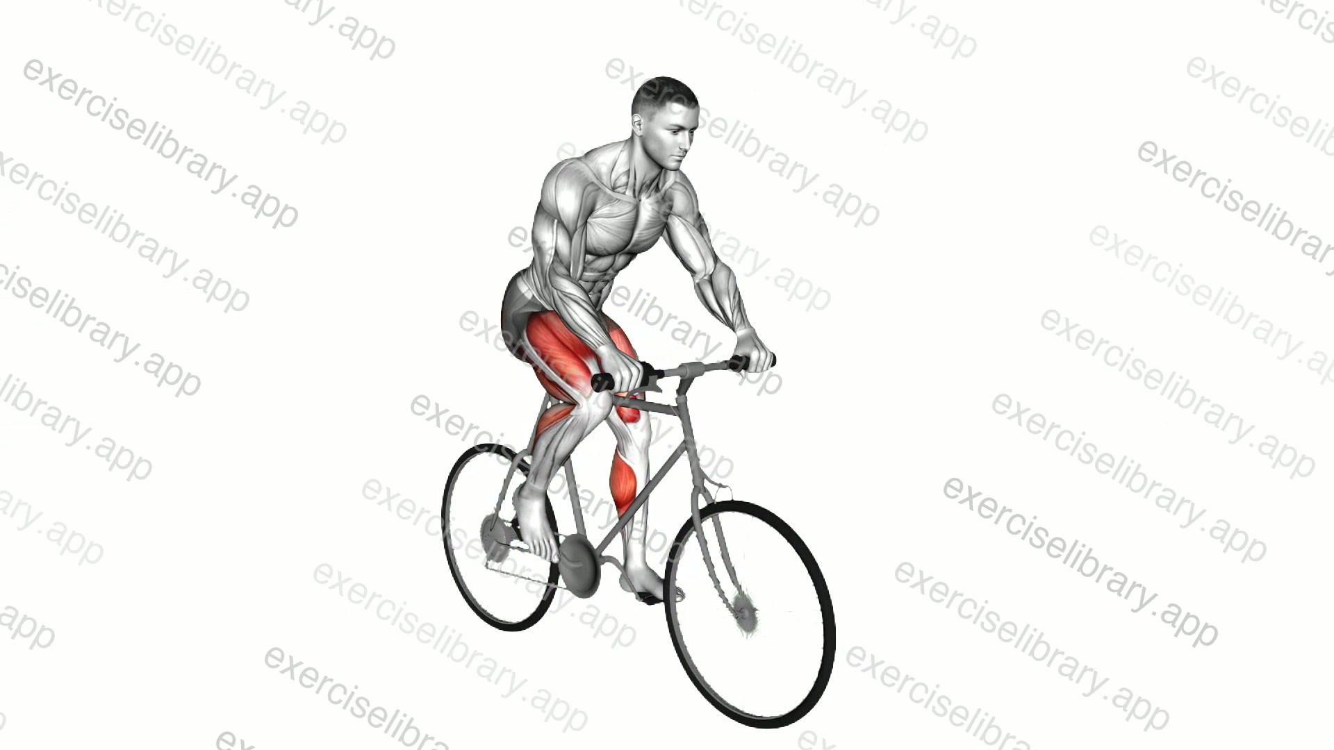 Riding Outdoor Bicycle demonstration
