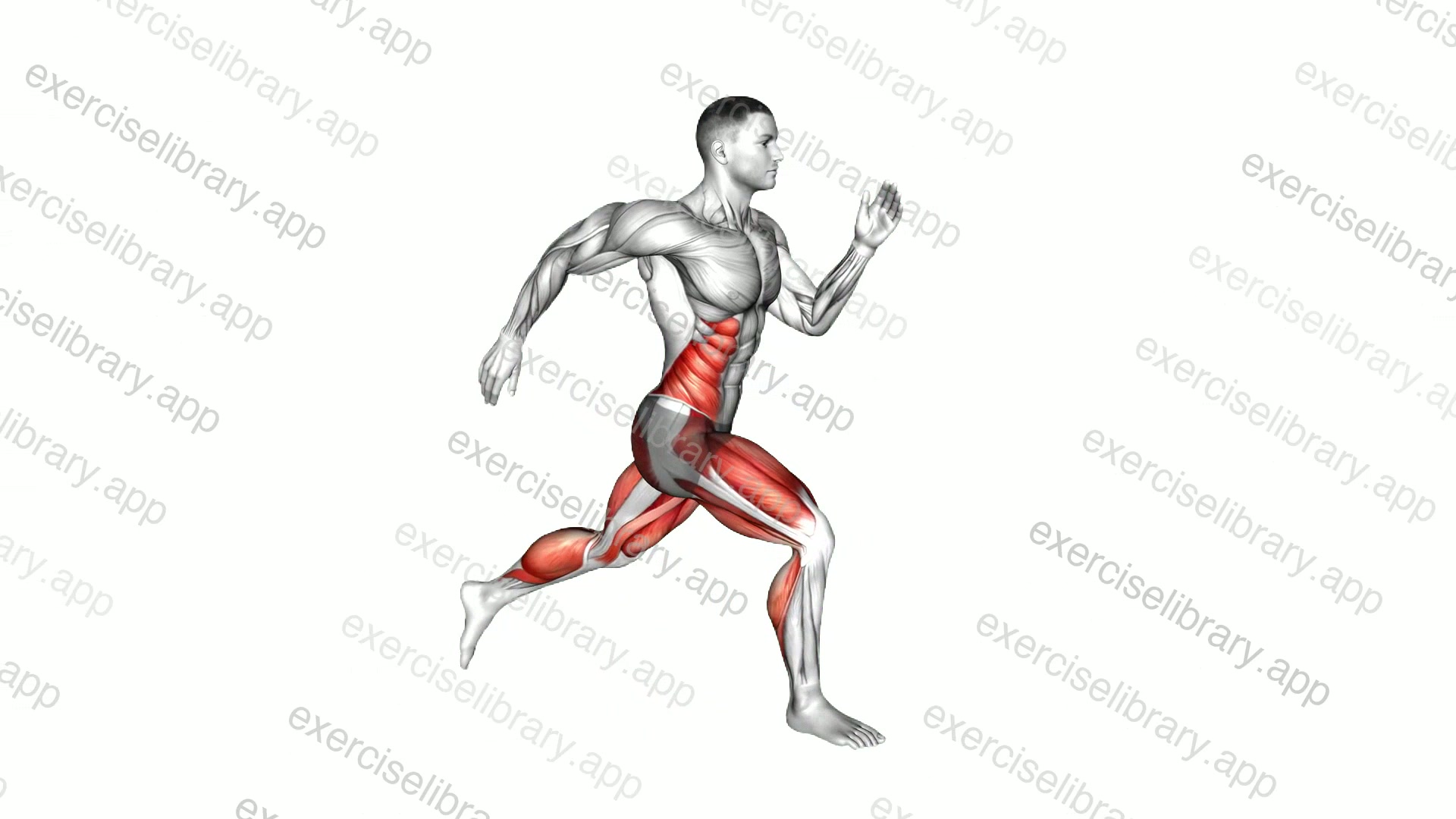 Sprint demonstration