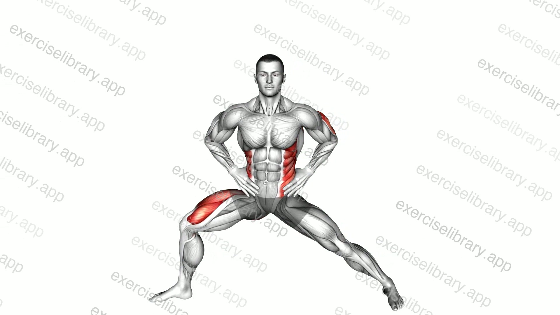 Extended Side Angle Yoga Pose demonstration