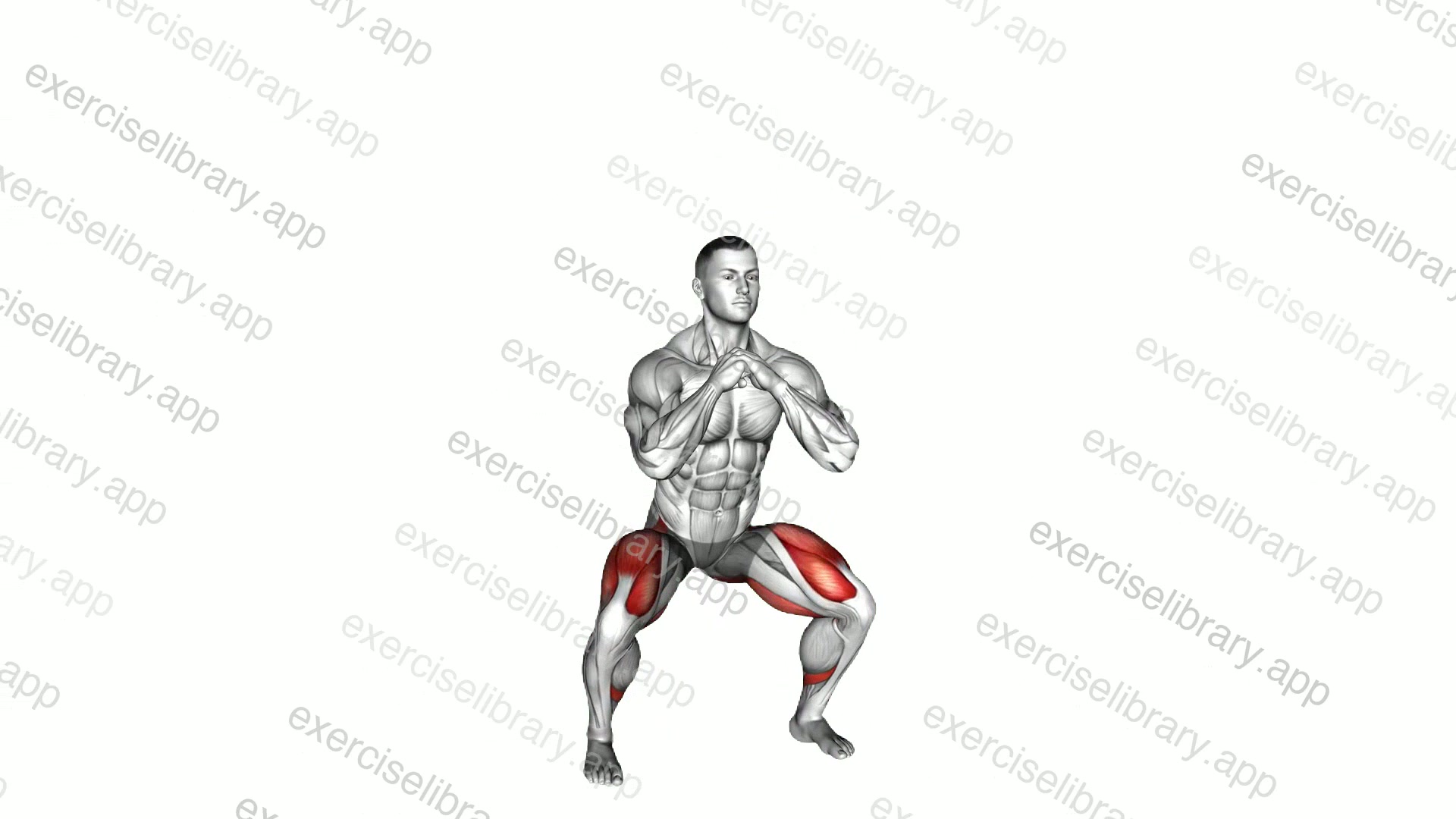 In and Out Squat demonstration