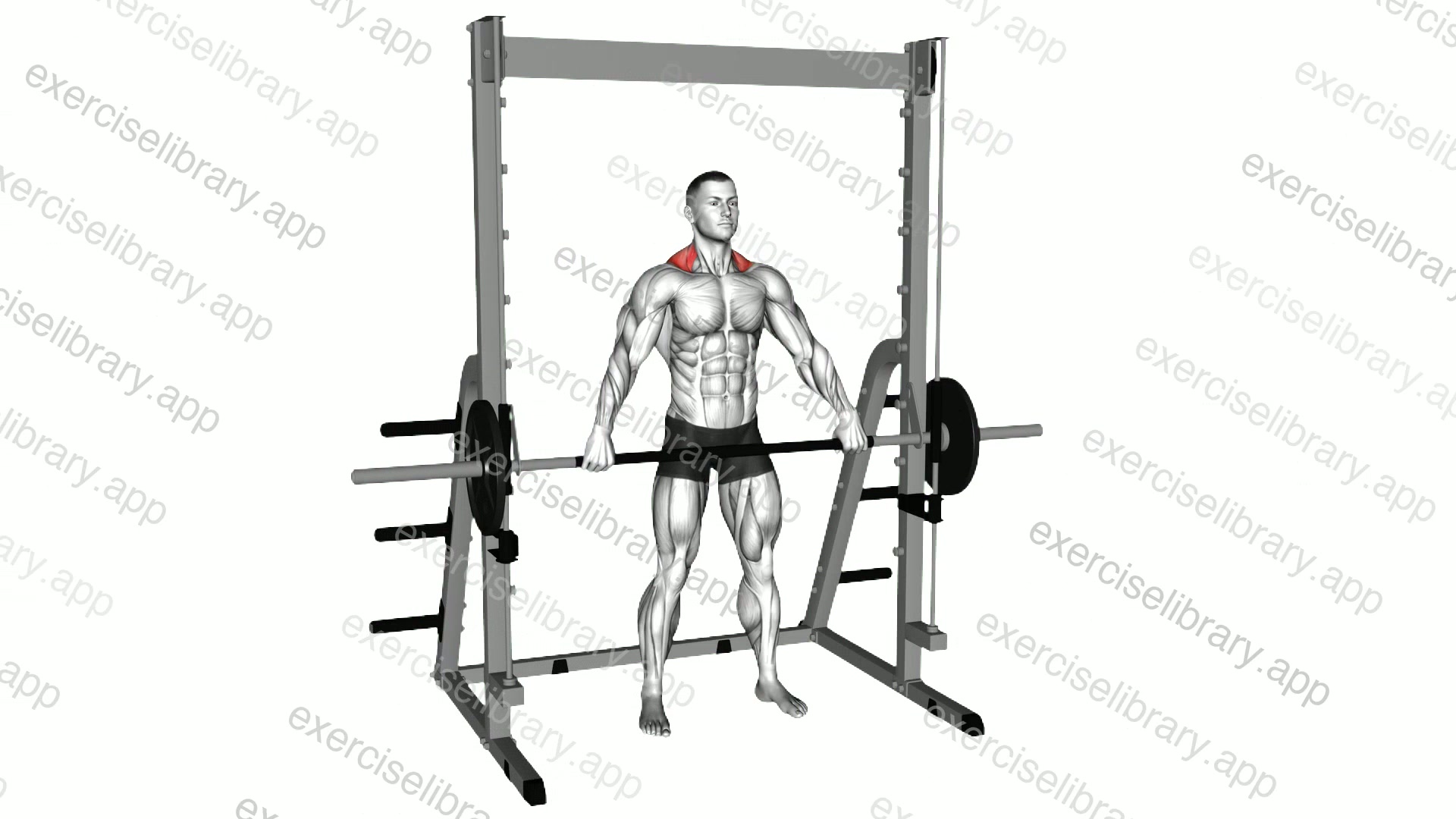 Smith Wide Shrug demonstration