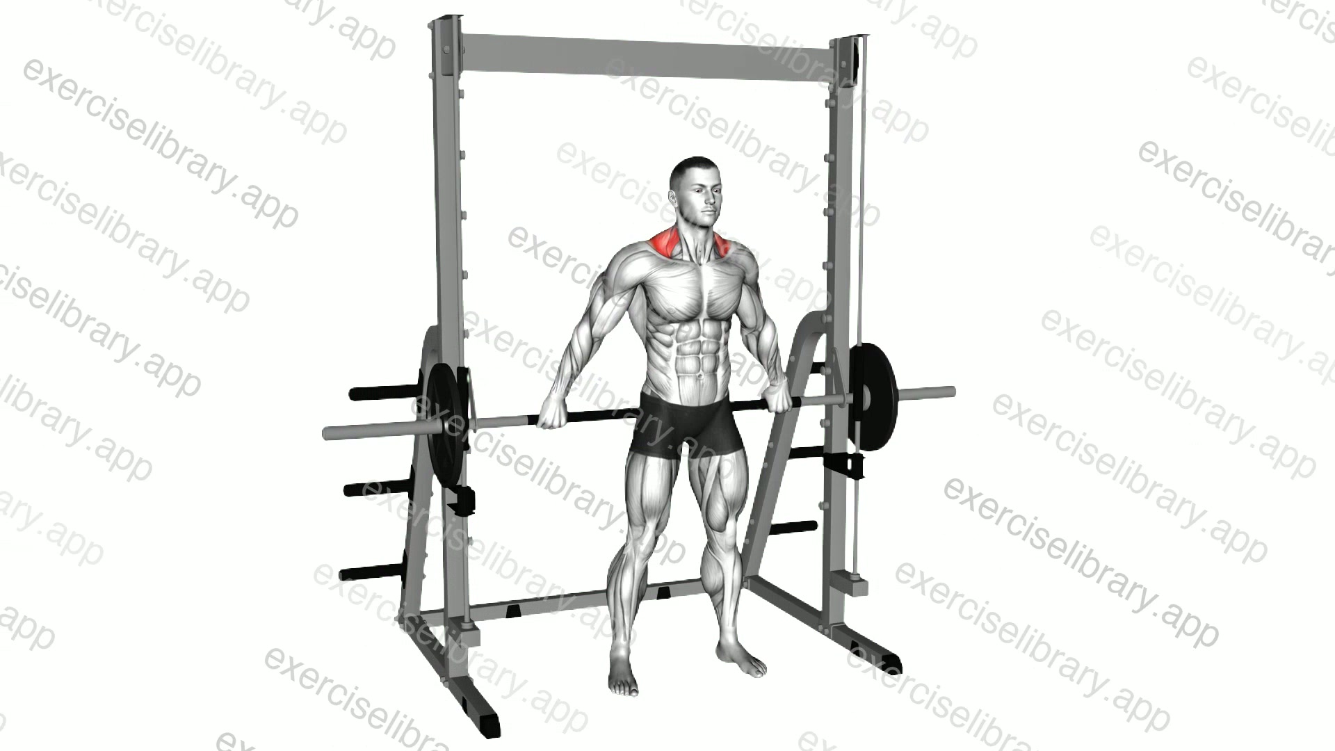 Smith Back Wide Shrug demonstration