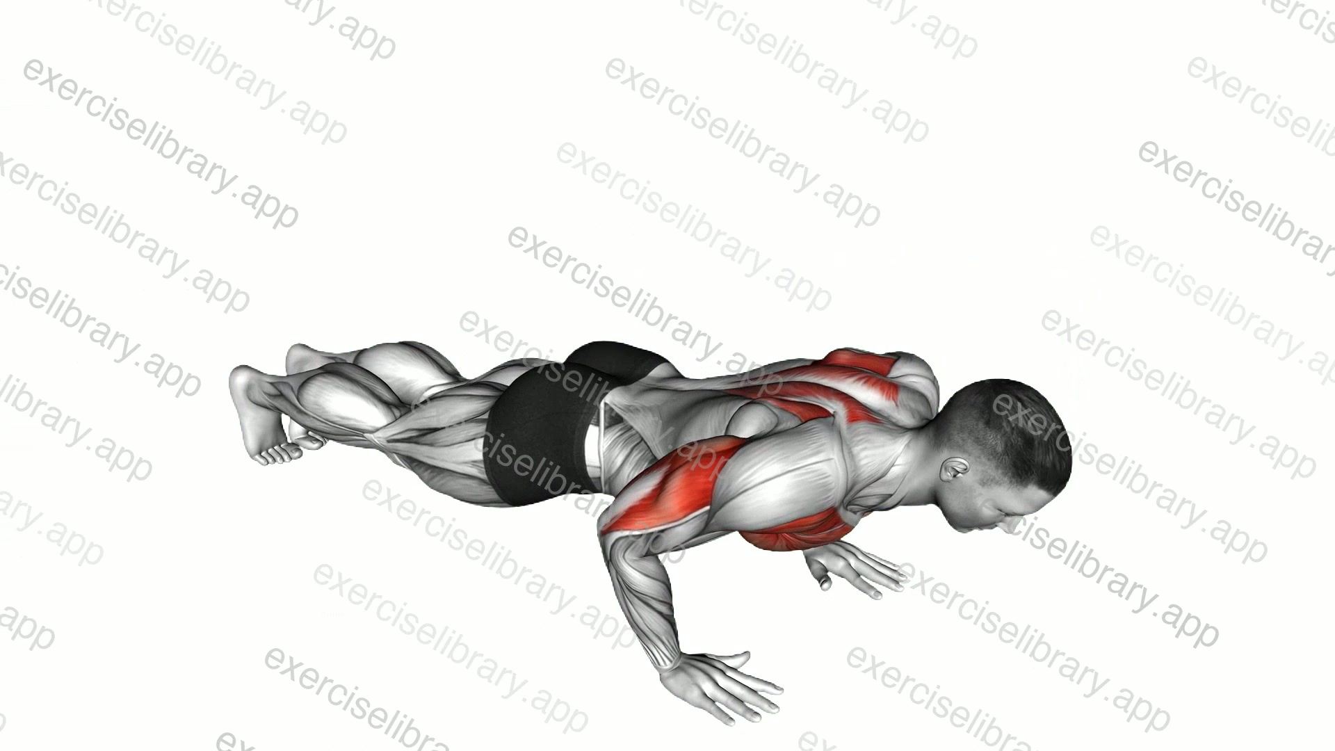 Hands Release Push-up demonstration