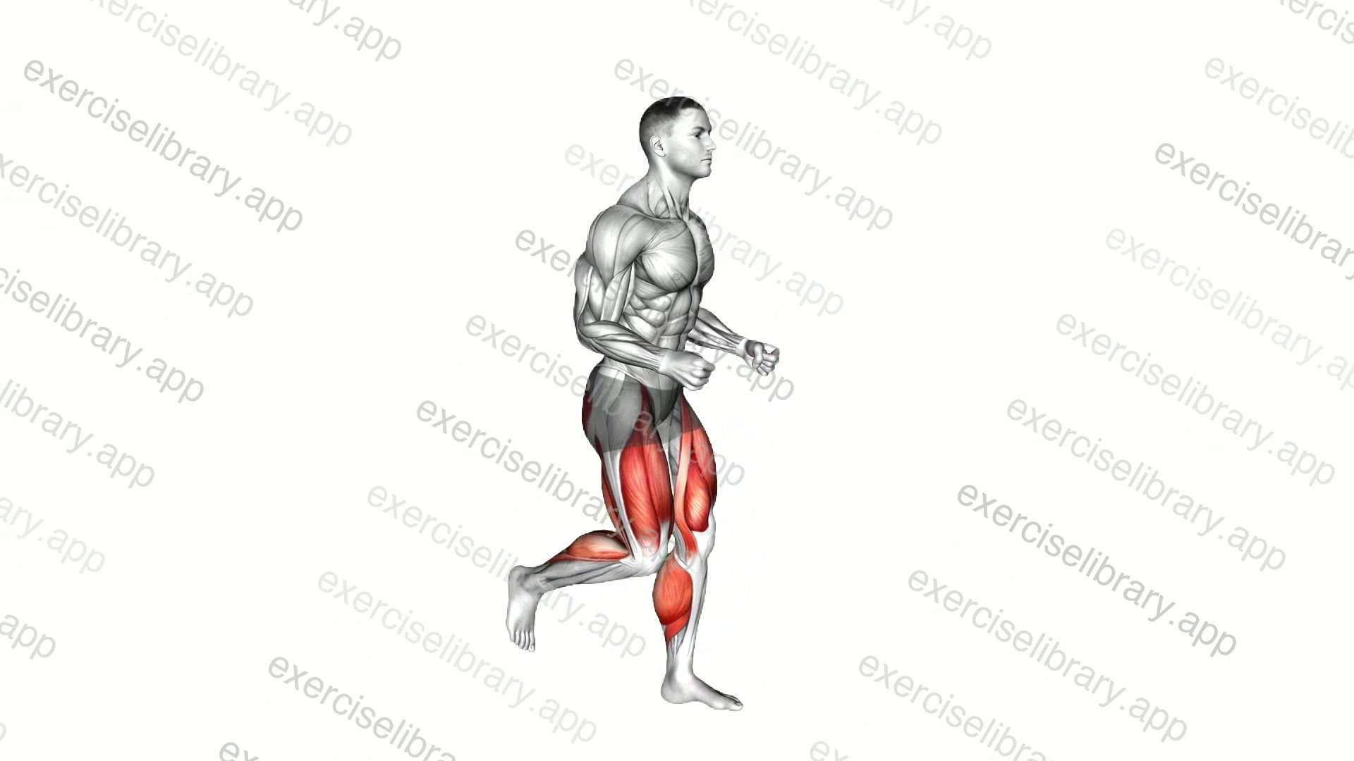 Long Distance Running demonstration