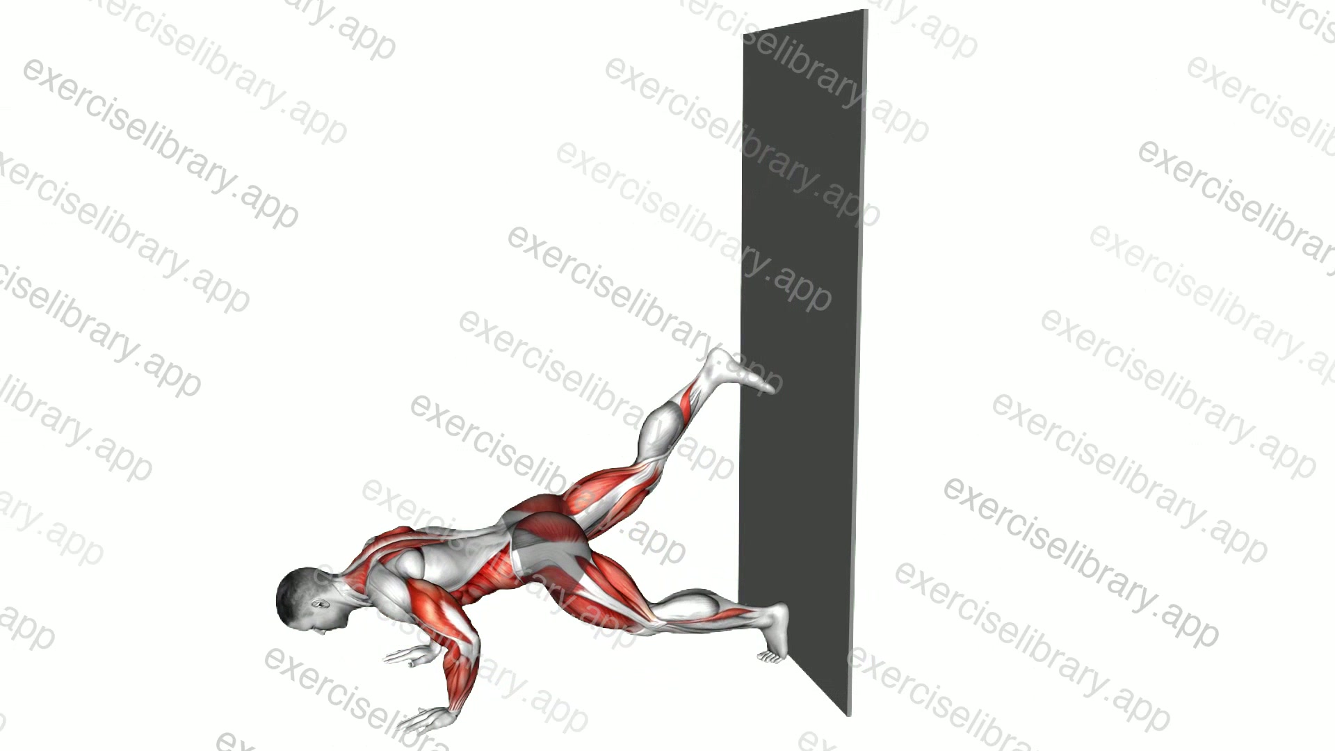 Wall Walks demonstration