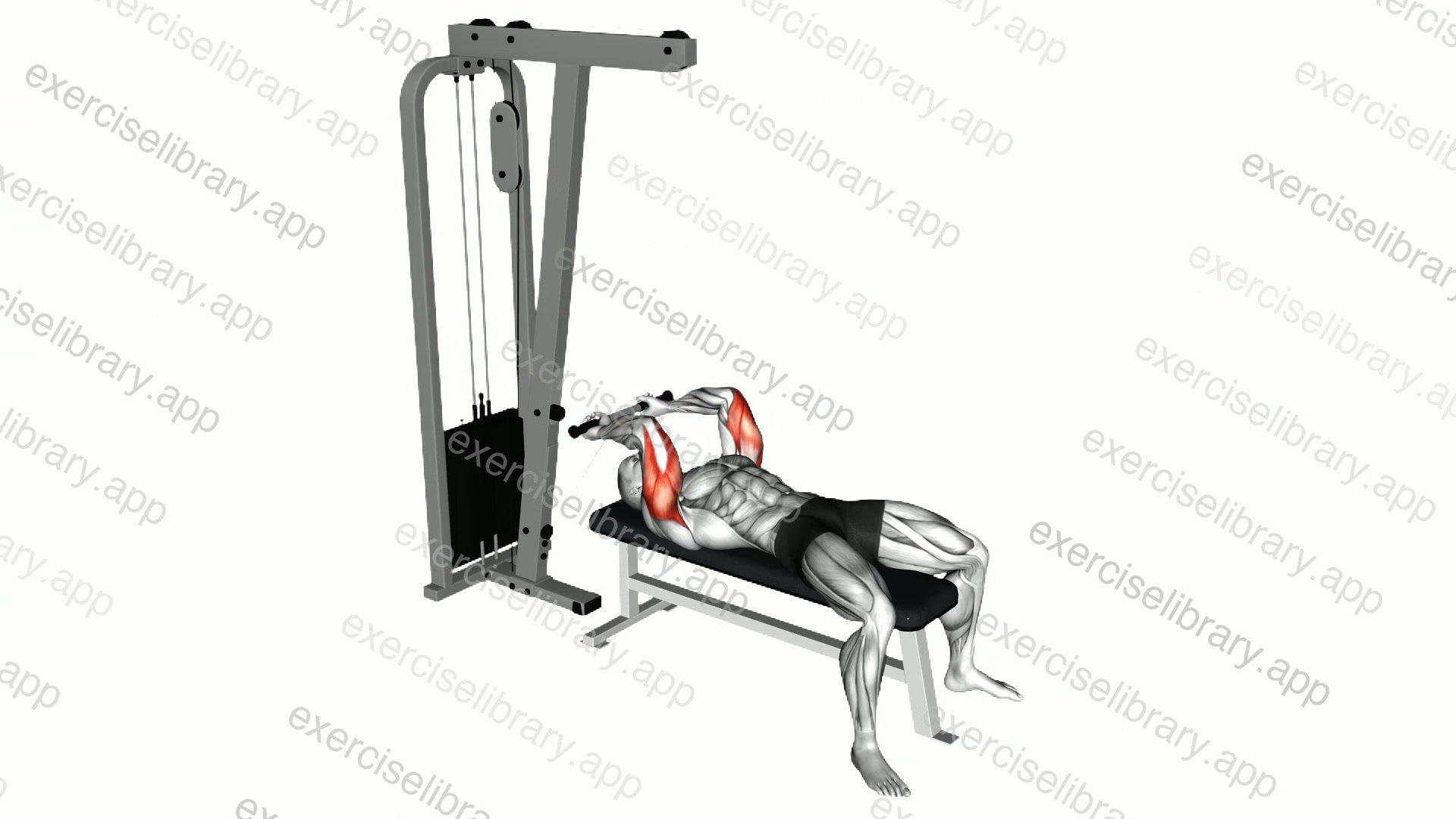 Cable Lying Triceps Extension demonstration