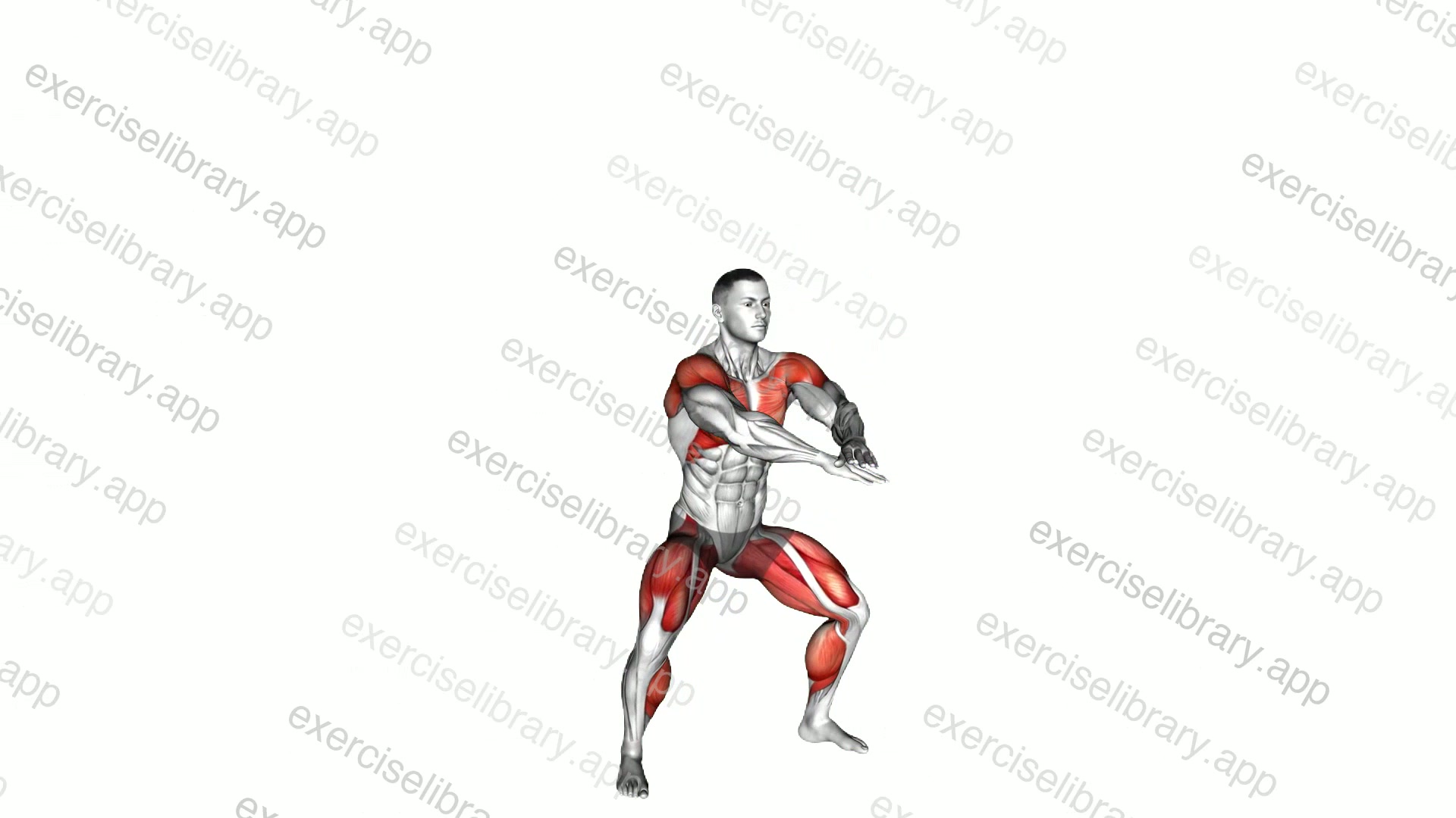 Squat Bounce demonstration