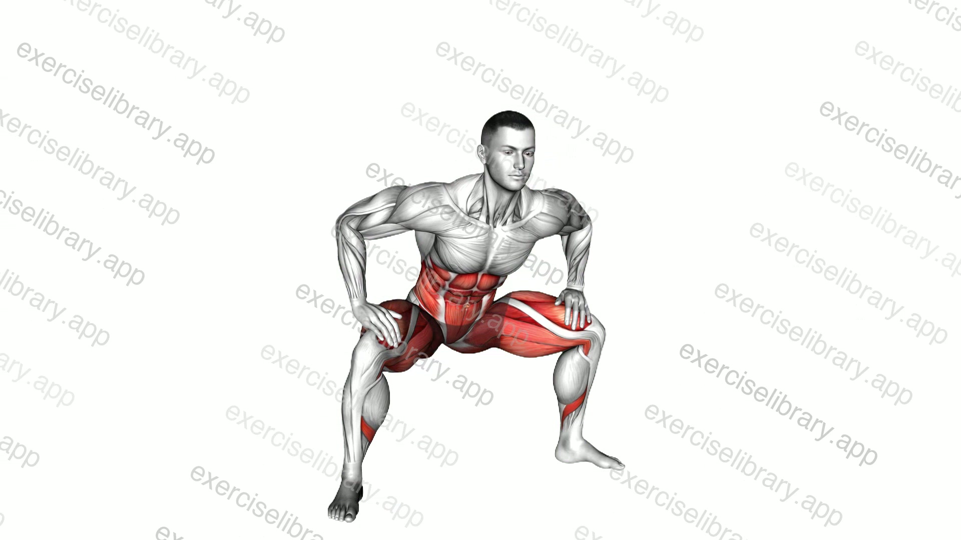 Sumo Hip Twist Stretch demonstration