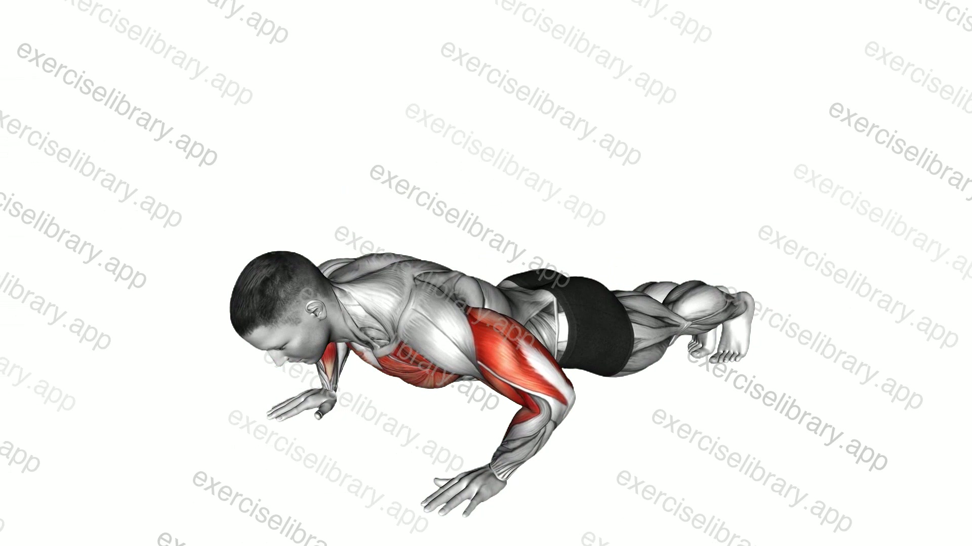 Rotating Push-up demonstration