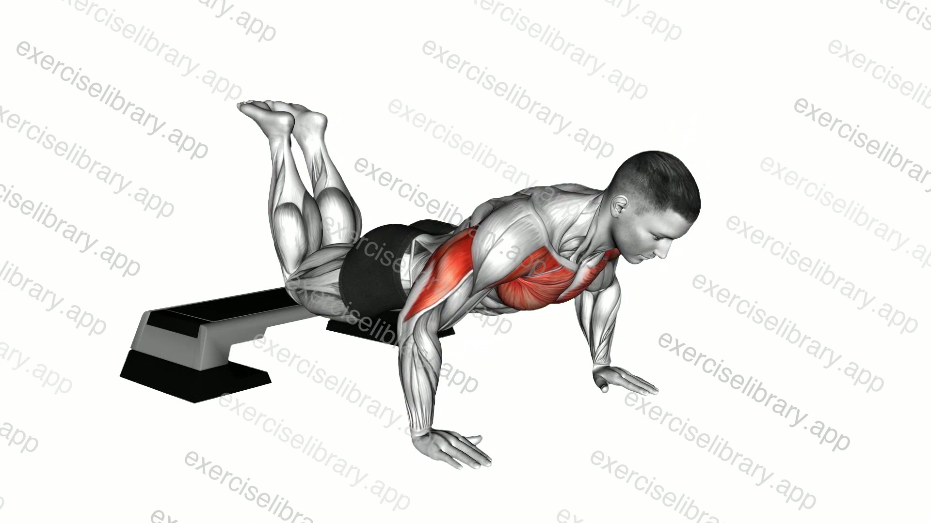 Decline Kneeling Push-up demonstration