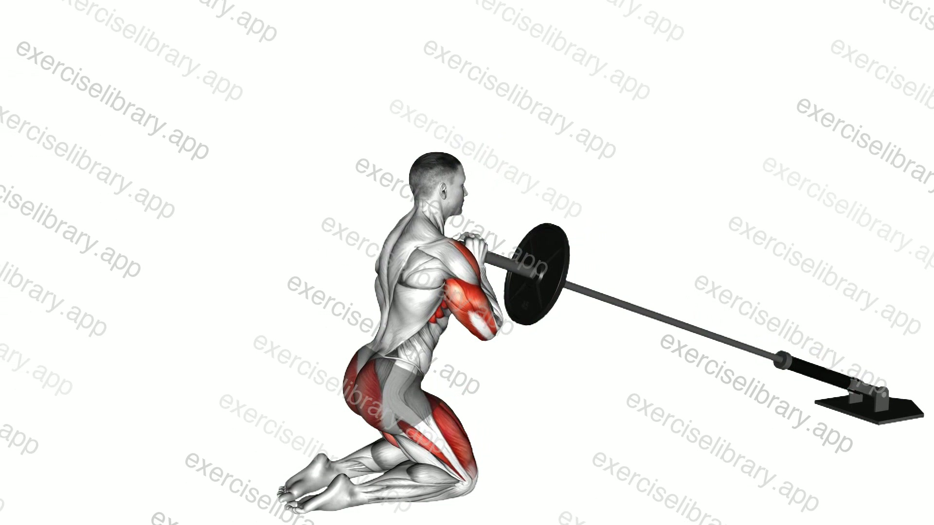 Landmine Kneeling Thruster Press demonstration