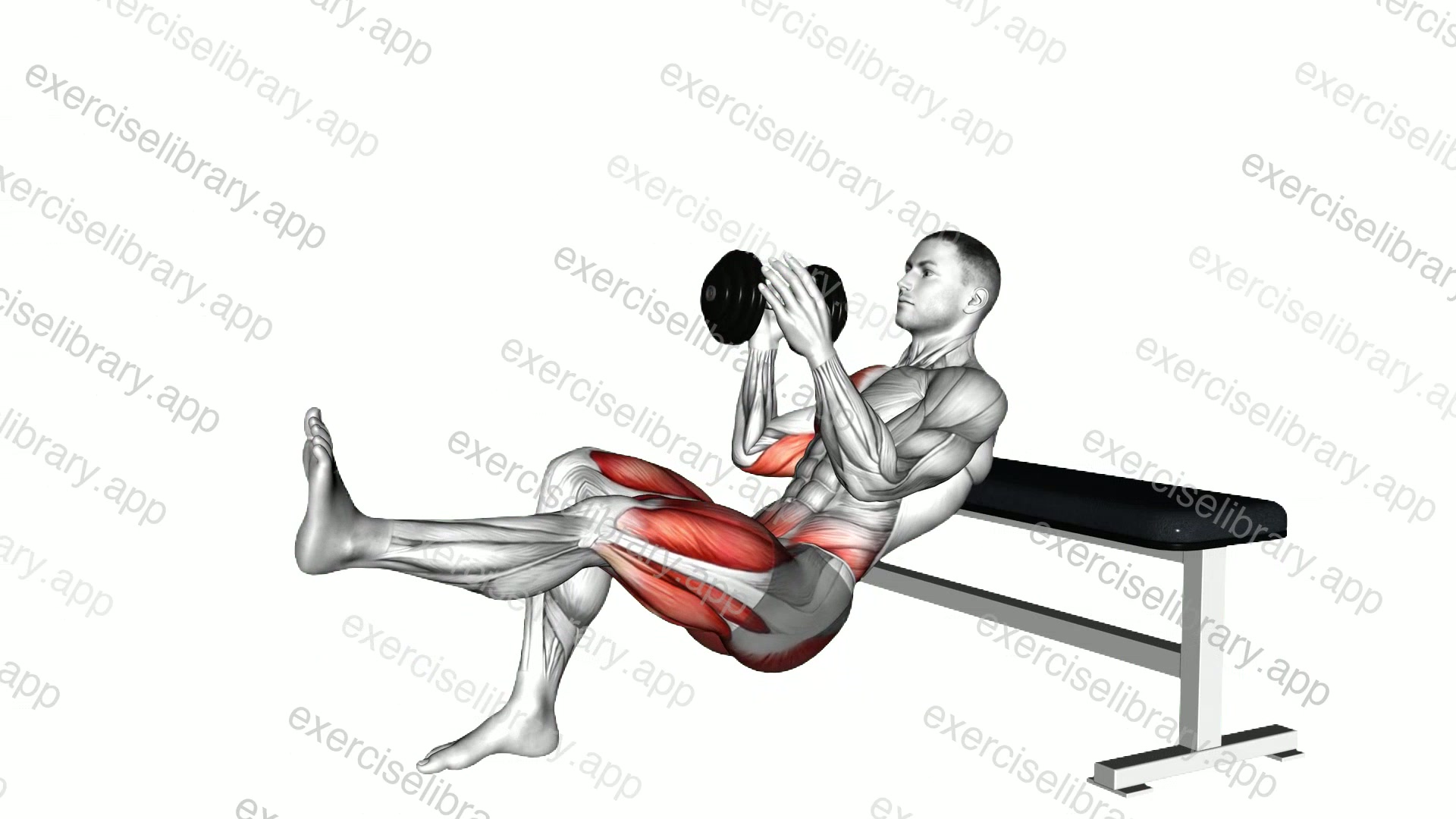 Dumbbell Sprinter Thrust Chest Press demonstration