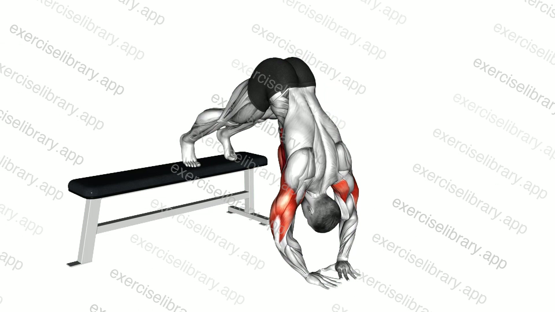 Decline Diamond Pike Push-up demonstration