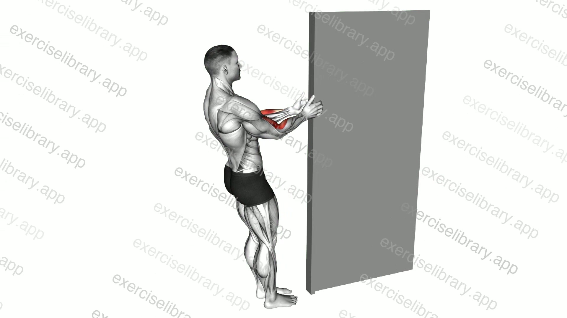 Doorway Biceps Curl demonstration