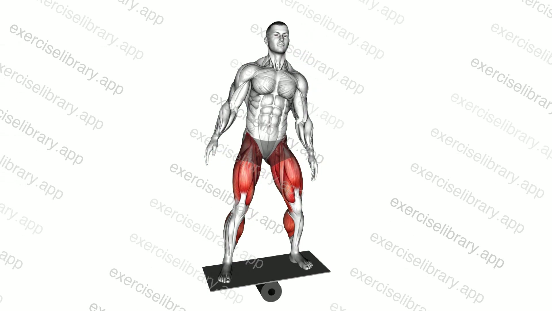 Balance Board demonstration