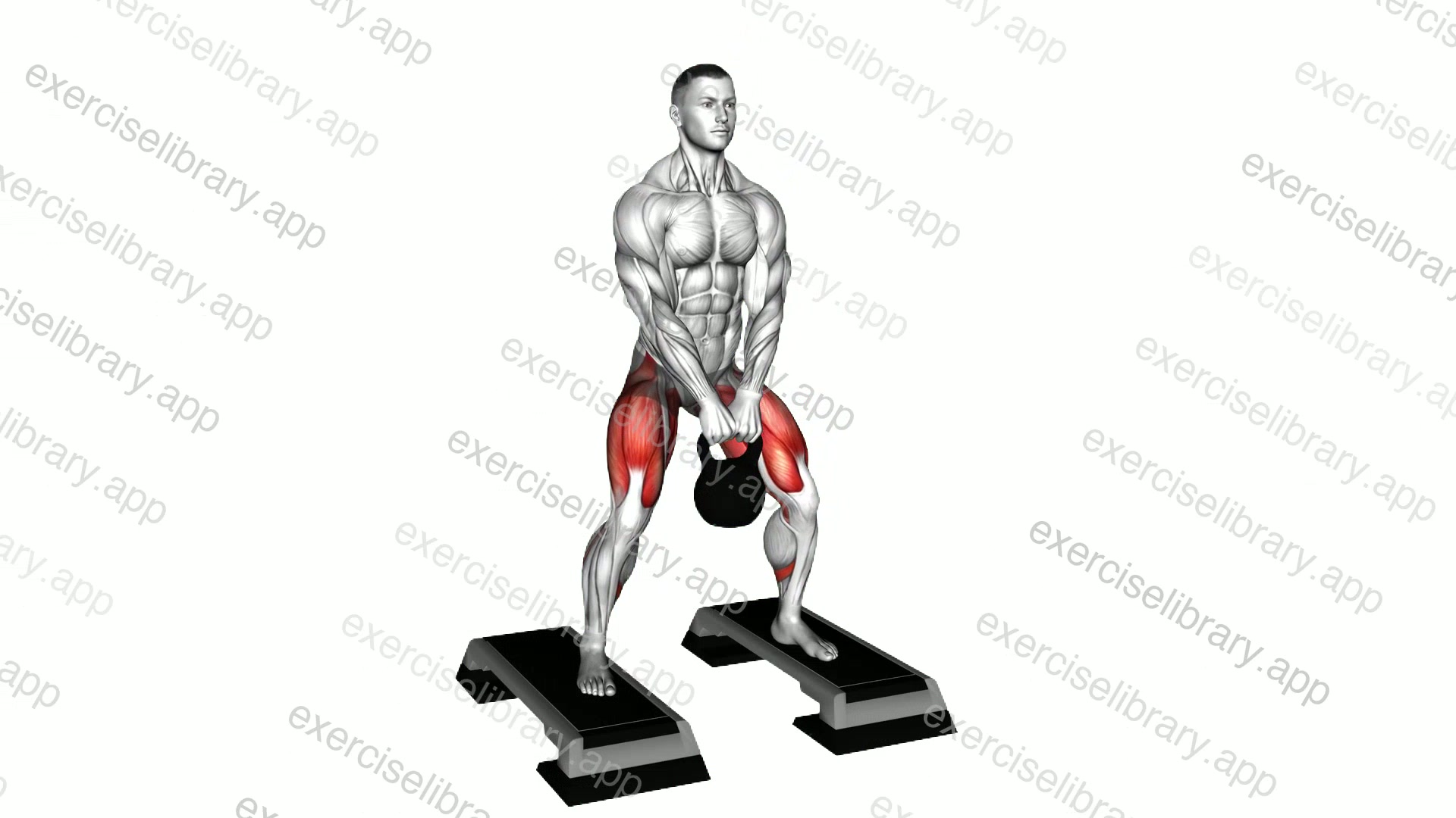 Kettlebell Sumo Squat off Stepbox demonstration