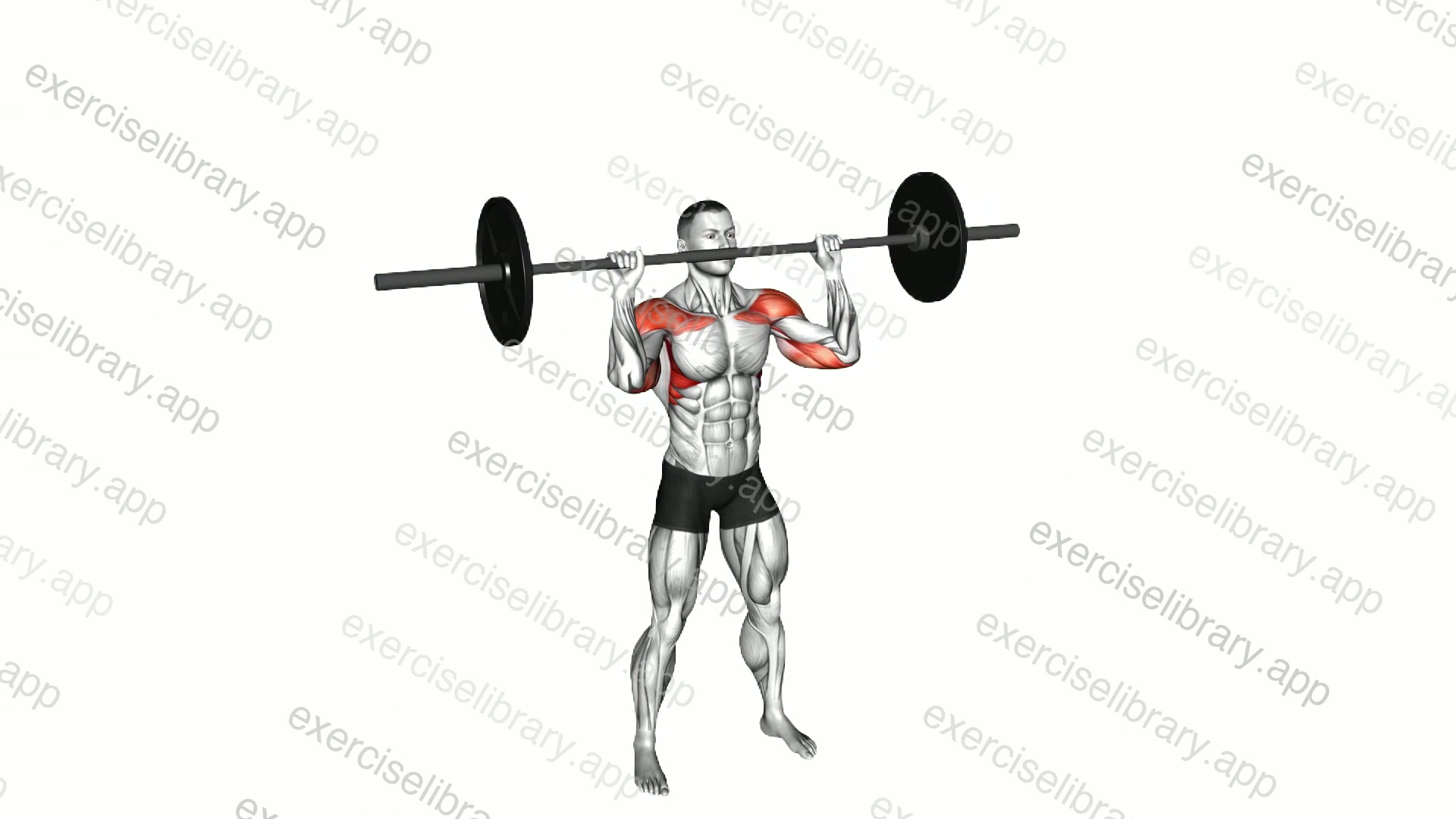 Barbell Standing Shoulders Press demonstration