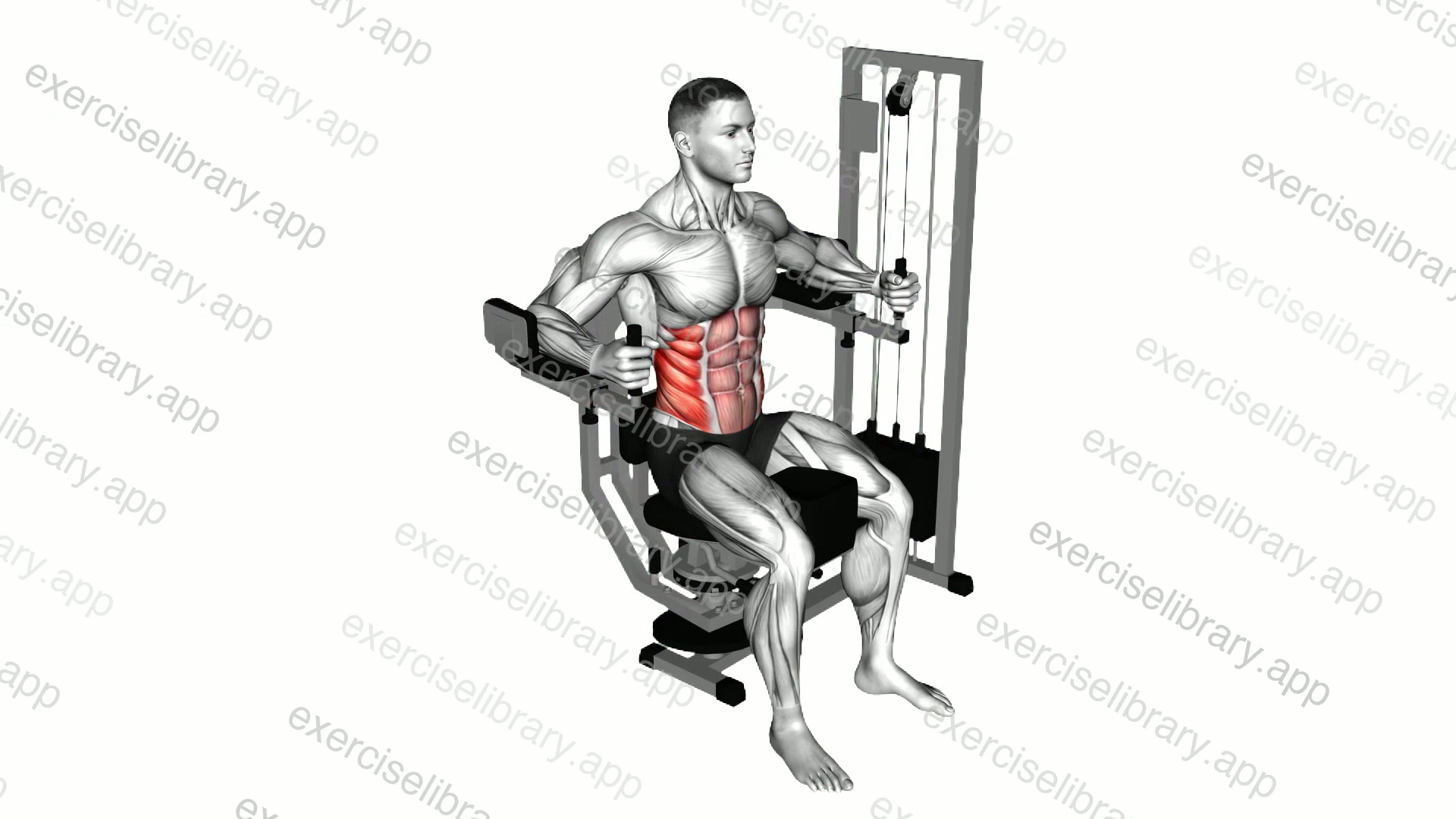 Lever Trunk Rotation demonstration