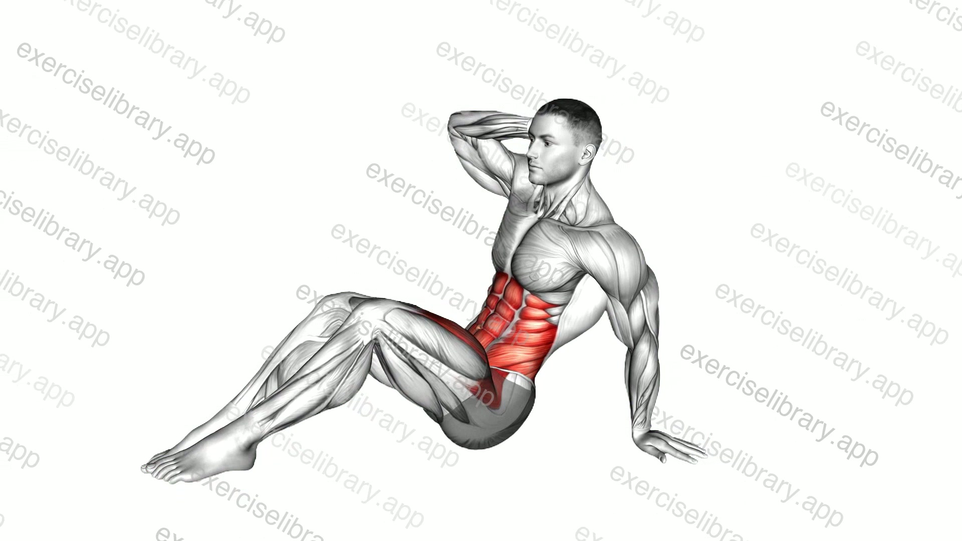 Sitting Side Crunch demonstration