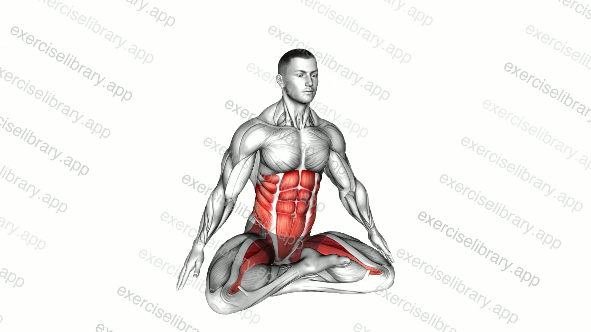 Sitting Lotus Pose Hip Horizontal Rotation demonstration