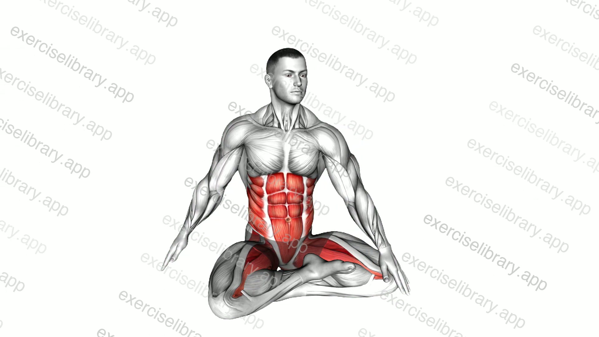 Sitting Lotus Pose Twisting Front Back Tap demonstration