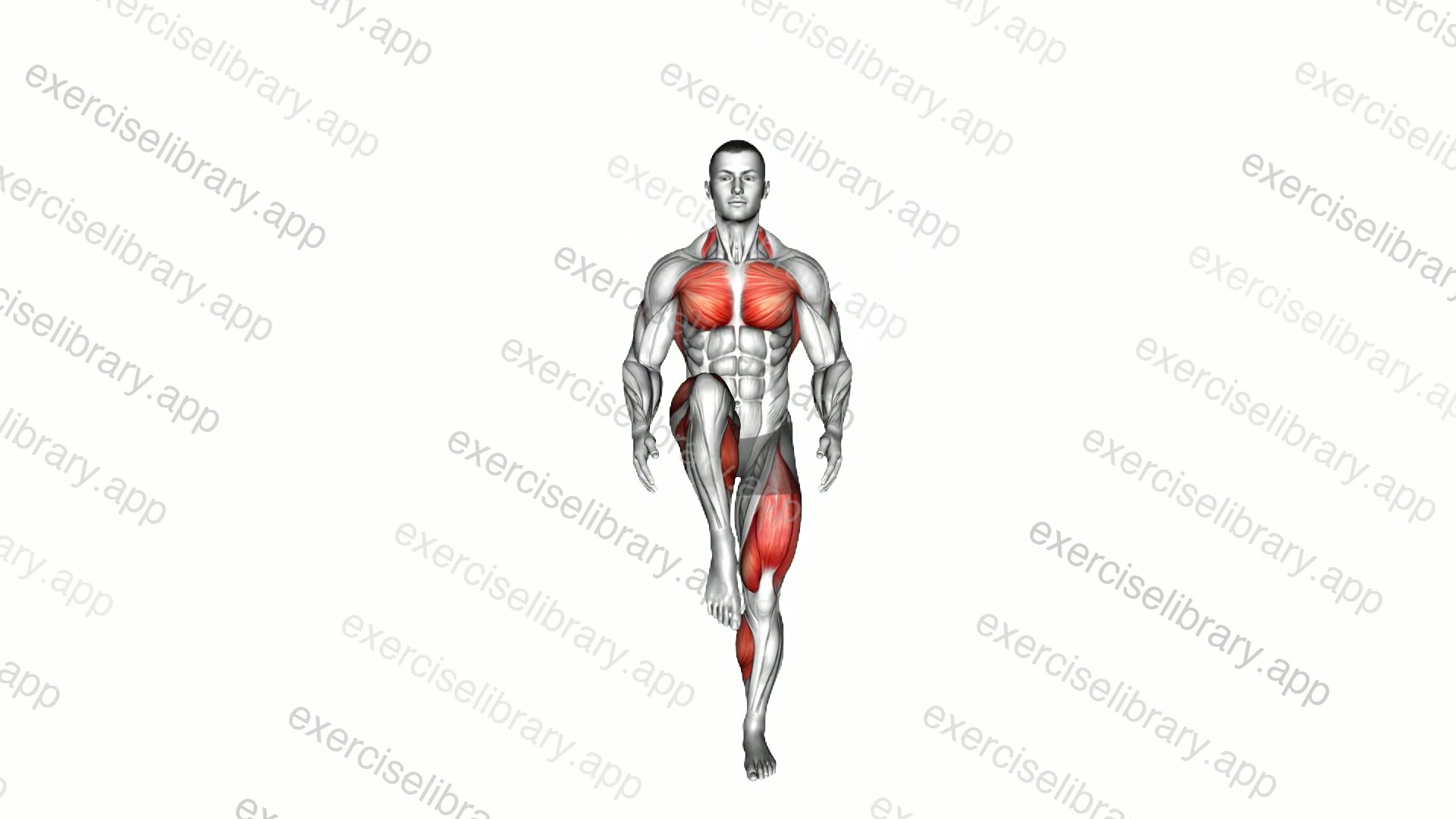 Standing March with Shoulders Extension demonstration