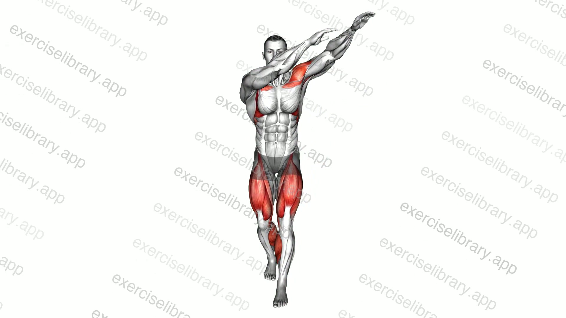 Swing and Froward Step demonstration